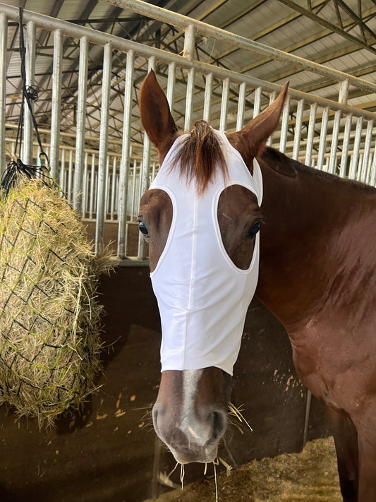 Boo! Plain White Spandex Face Mask for Horses Fly Bonnet Riverside Rodeo Shirts 
