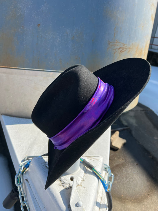 Grape Holographic Sparkly Hat Band