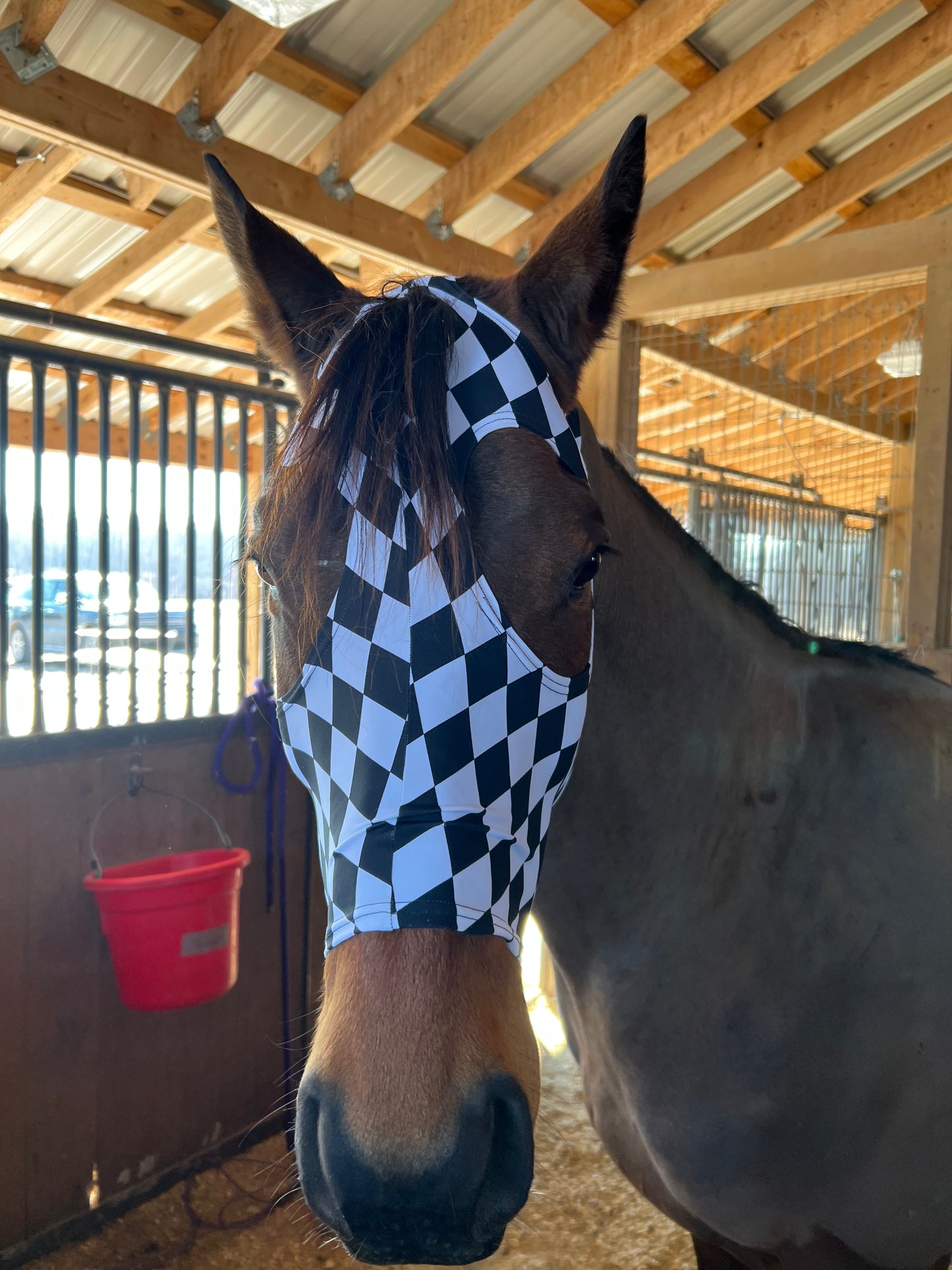 Diamond Spandex Face Mask for Horses