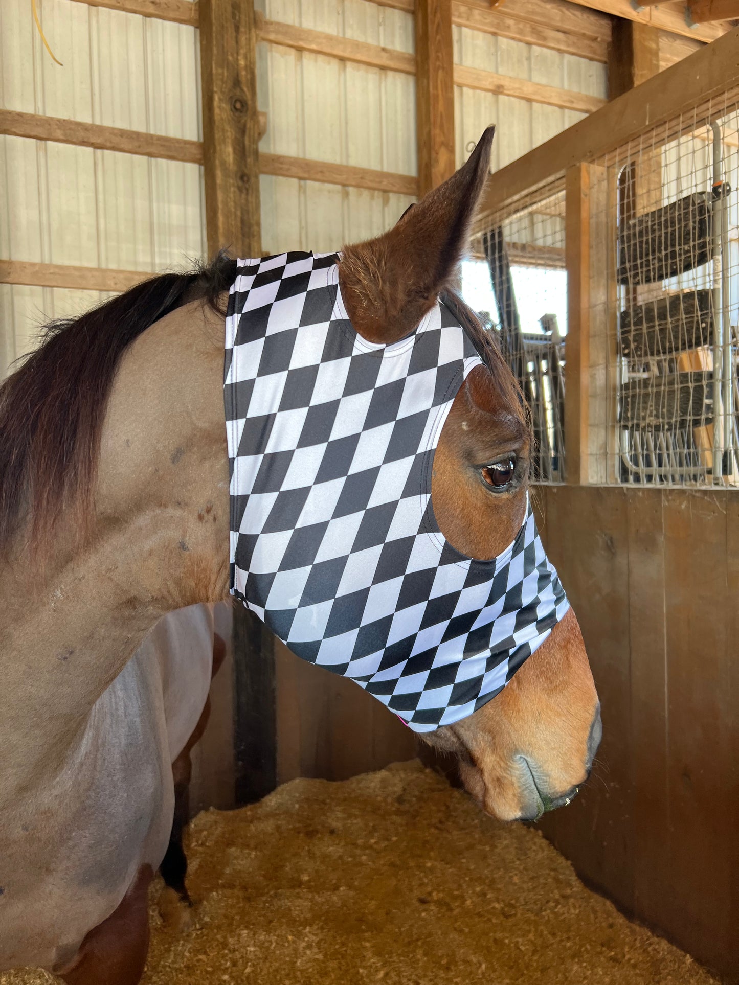 Neon Pink and Diamond Spandex Face Mask for Horses
