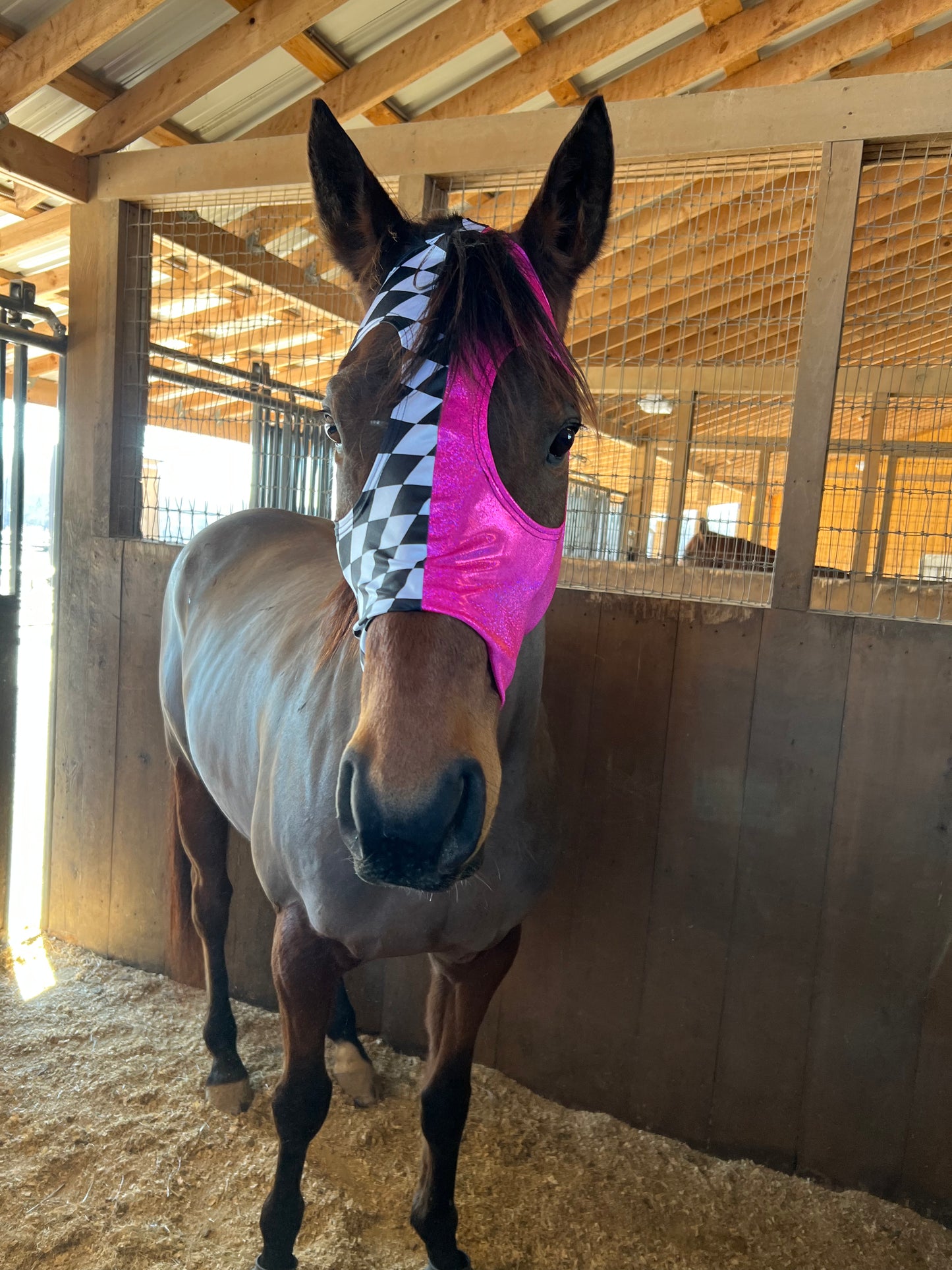 Neon Pink and Diamond Spandex Face Mask for Horses