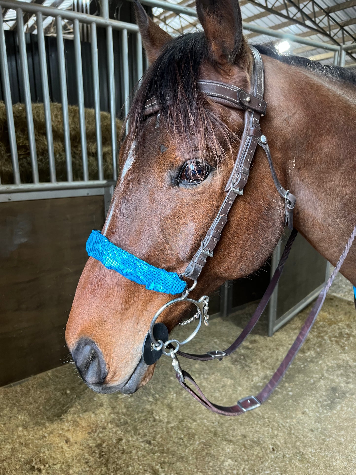 Turquoise Kaleidoscope Browband or Noseband Cover (ONE Cover Only)