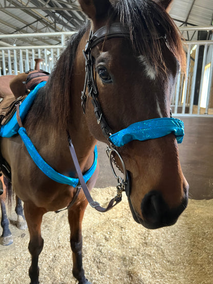 Turquoise Kaleidoscope Browband or Noseband Cover (ONE Cover Only)