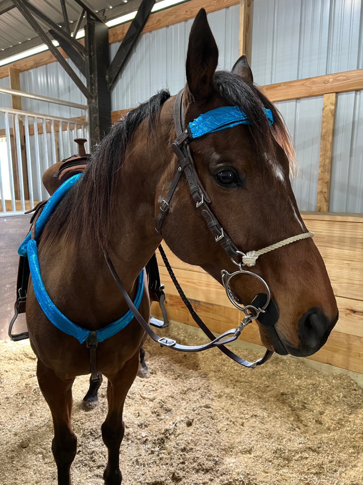 Turquoise Kaleidoscope Browband or Noseband Cover (ONE Cover Only)