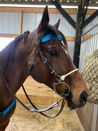 Turquoise Kaleidoscope Browband or Noseband Cover (ONE Cover Only)