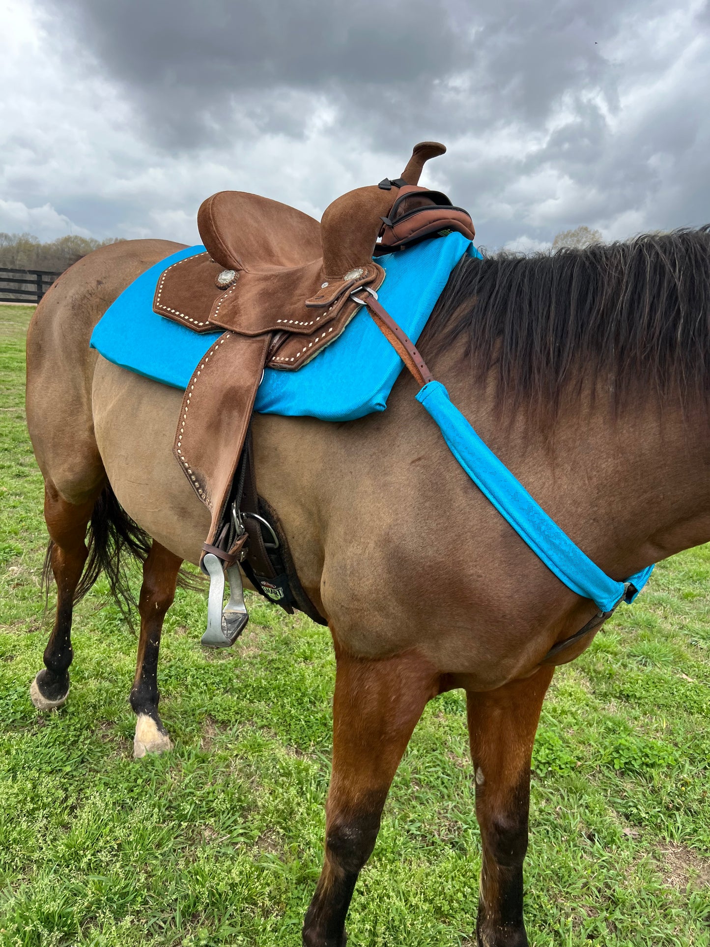 Turquoise Kaleidoscope Breast Collar Cover (Covers ONLY)