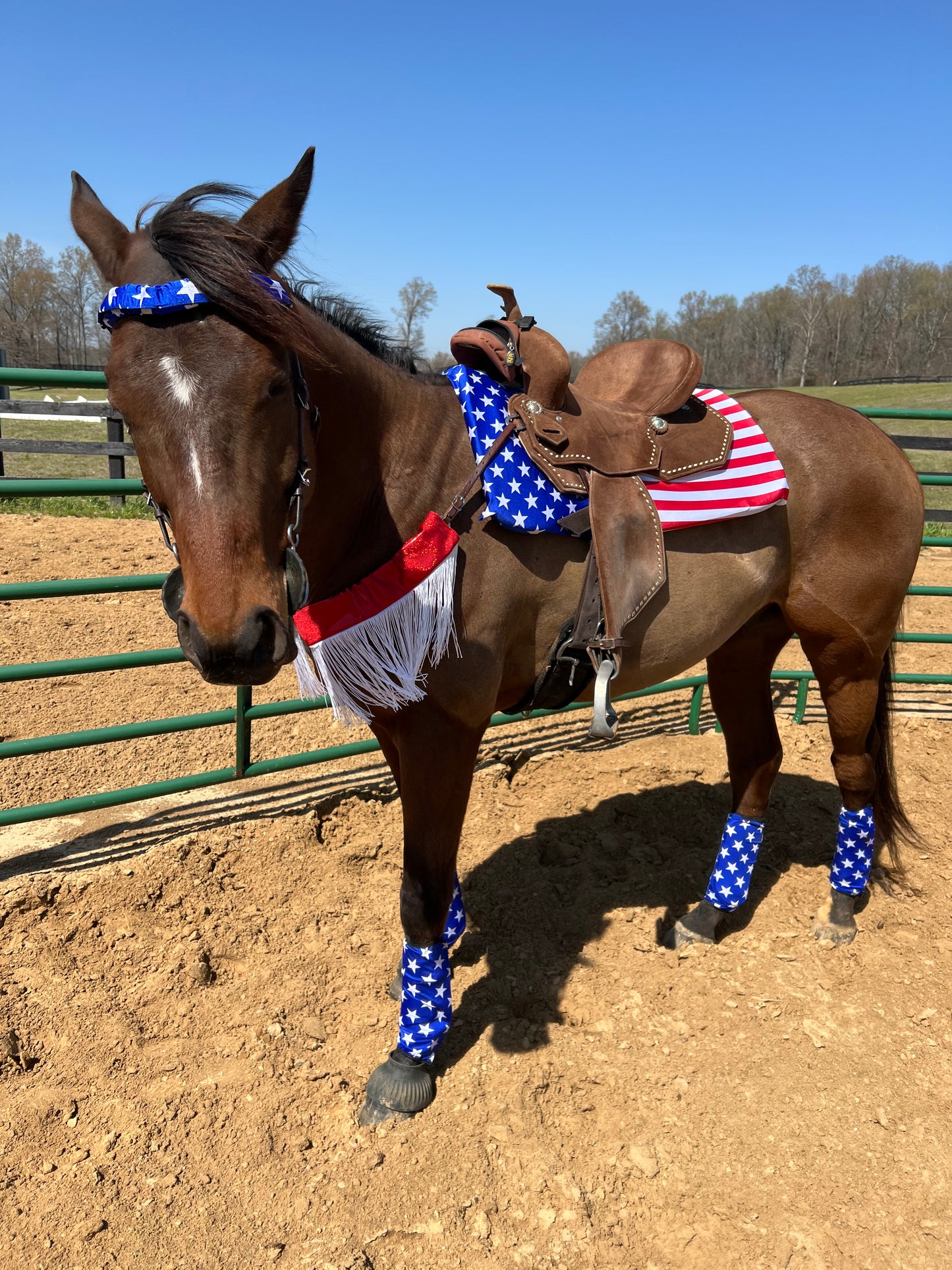 Blue and White Star Print Browband or Noseband Cover (ONE Cover Only)
