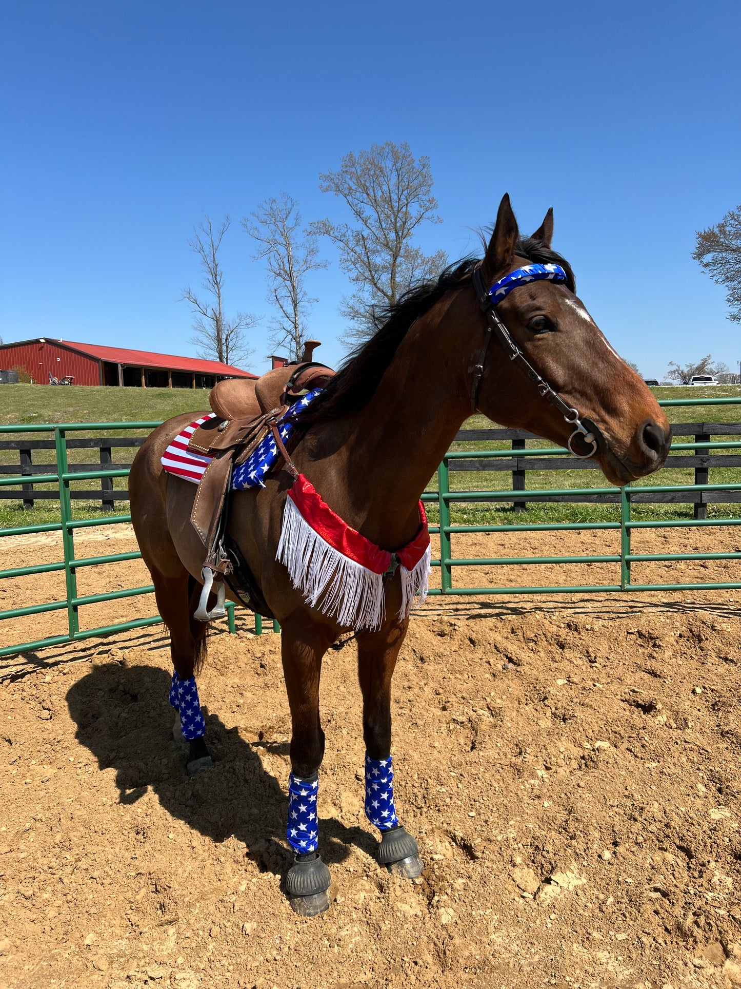 Blue and White Star Print Browband or Noseband Cover (ONE Cover Only)