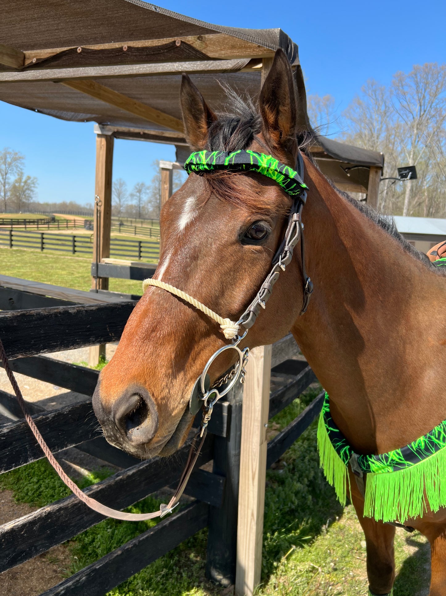 Neon Green Lightning Print Browband or Noseband Cover (ONE Cover Only)