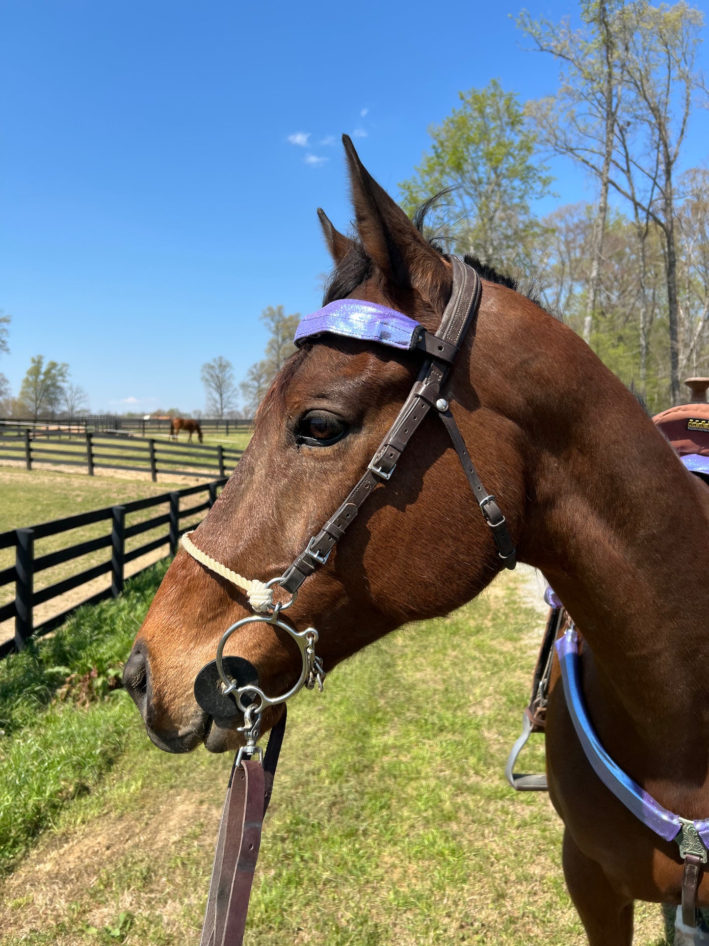 Lavender Ice Browband or Noseband Cover (ONE Cover Only)