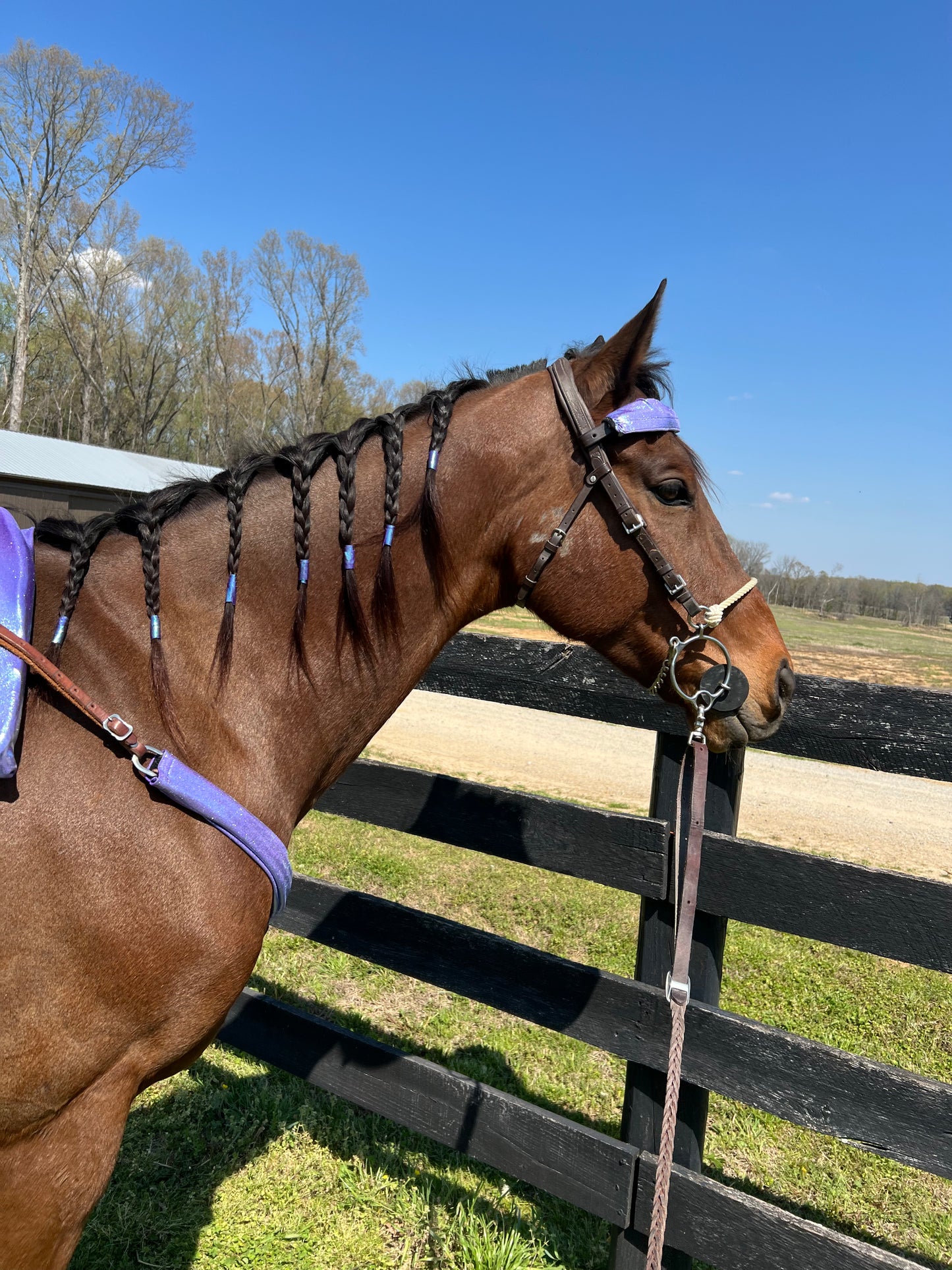 Lavender Ice Browband or Noseband Cover (ONE Cover Only)