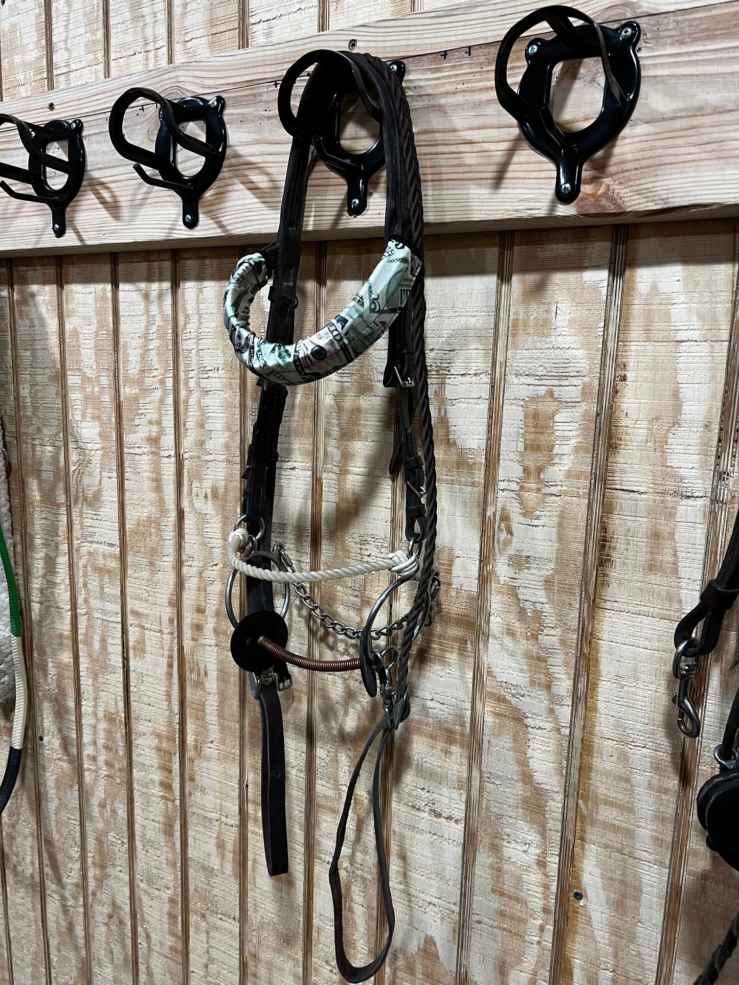 Cold Cash Browband or Noseband Cover (ONE Cover Only)
