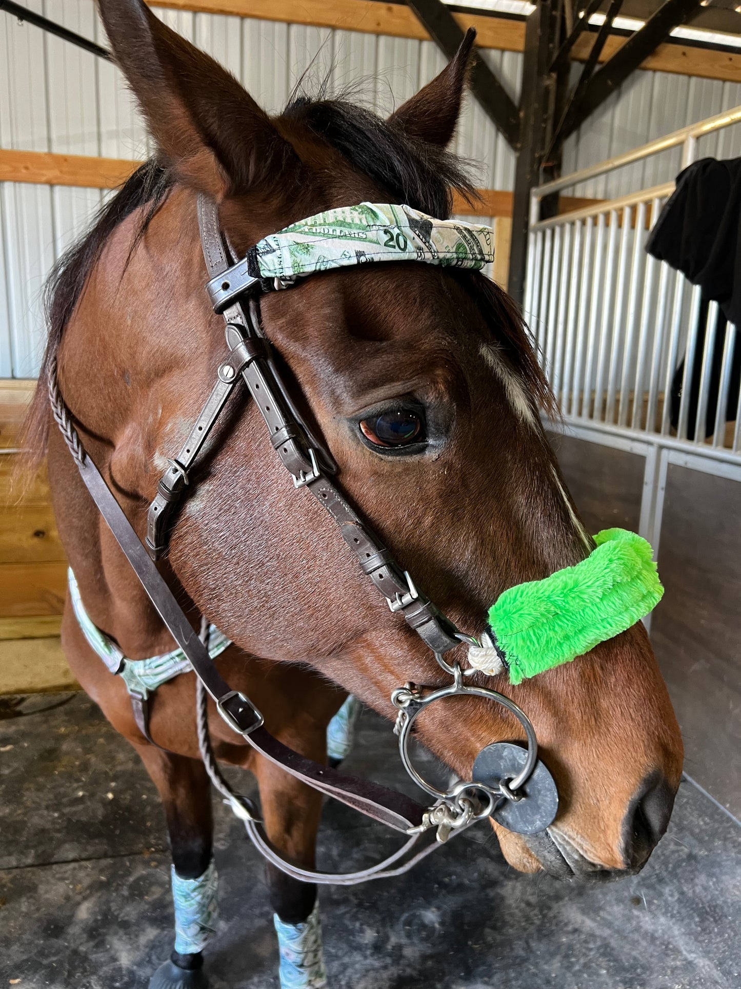 Cold Cash Browband or Noseband Cover (ONE Cover Only)