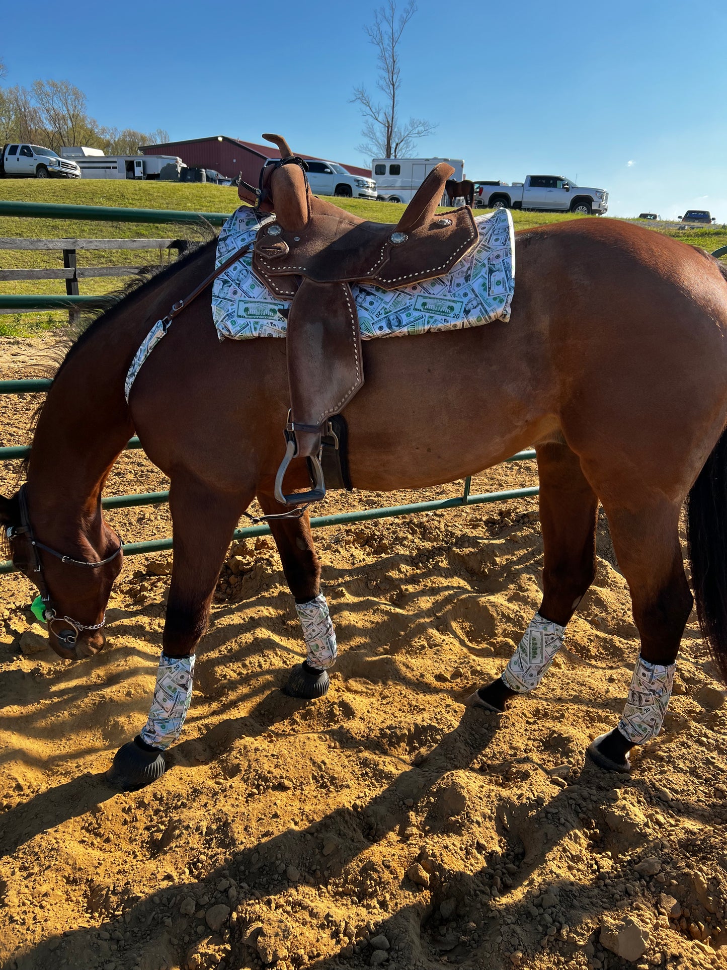 Western Saddle Pad COVER in Cold Cash (Saddle Pad Cover Only)