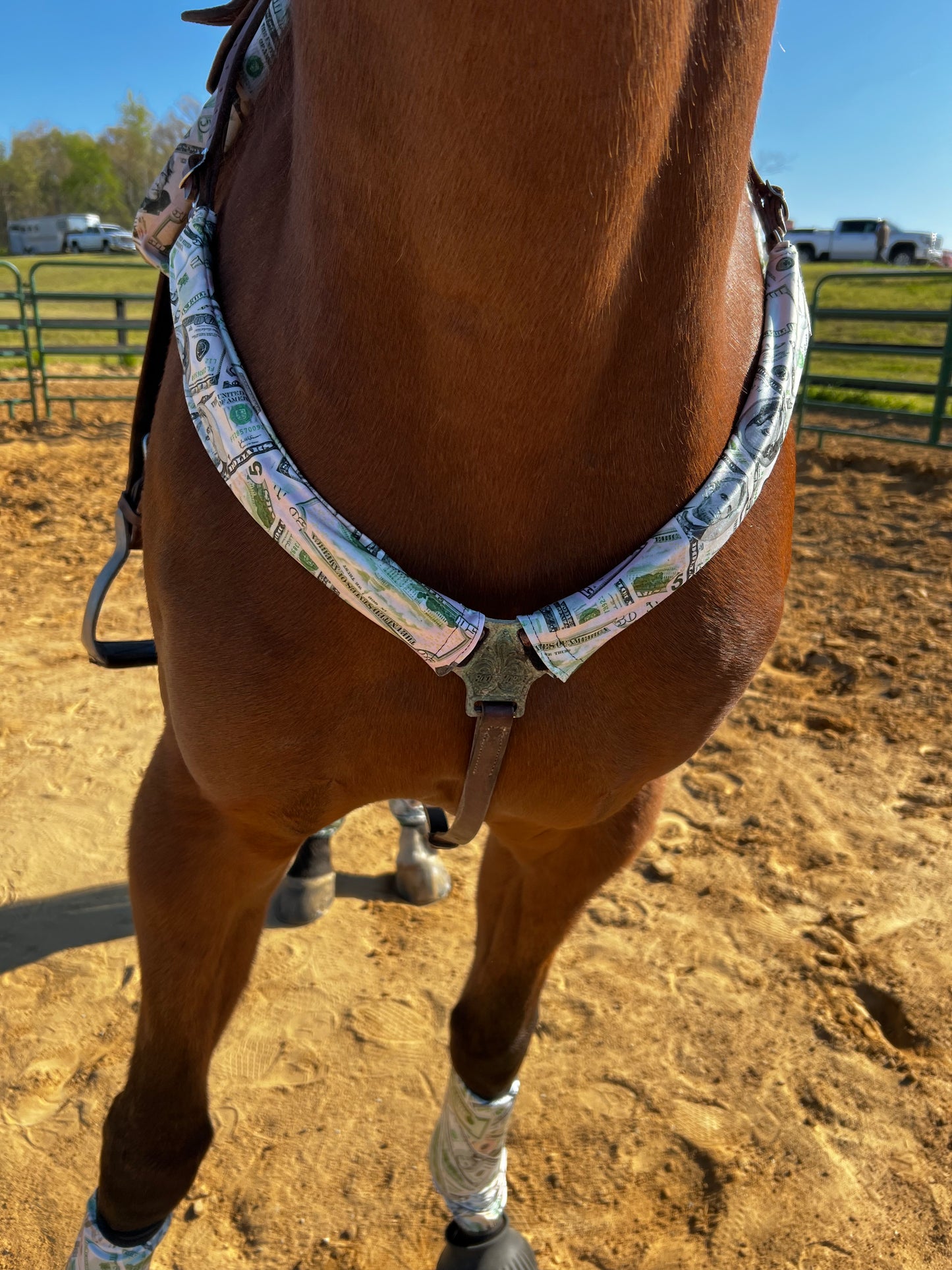 Cold Cash Breast Collar Cover (Covers ONLY)