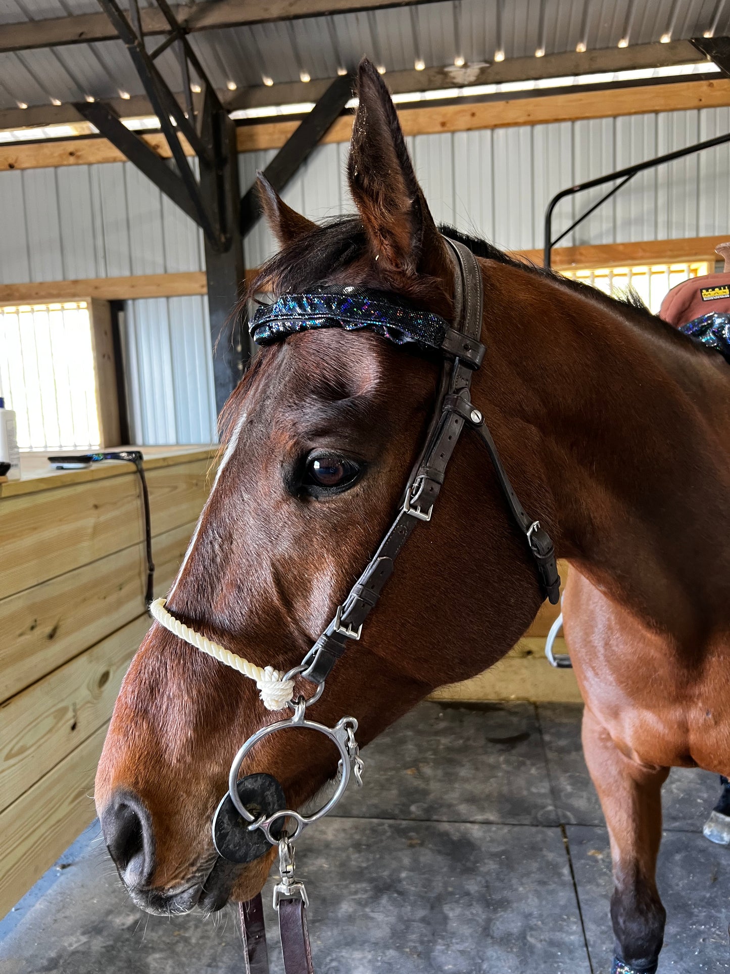 Black Kaleidoscope Browband or Noseband Cover (ONE Cover Only)