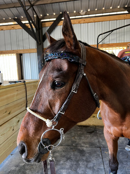 Black Kaleidoscope Browband or Noseband Cover (ONE Cover Only)