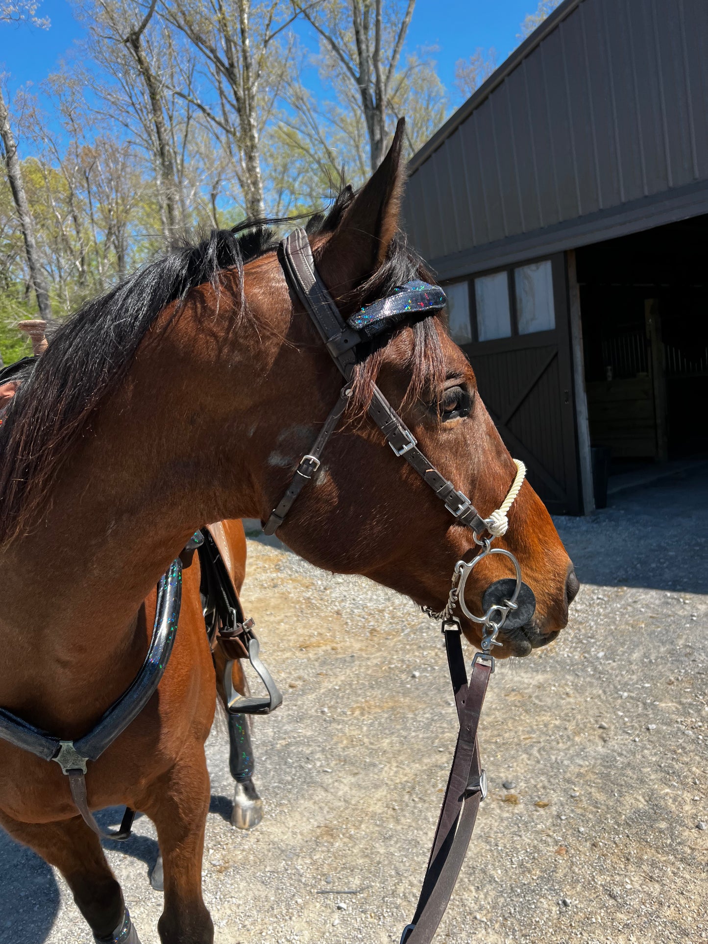 Black Kaleidoscope Browband or Noseband Cover (ONE Cover Only)