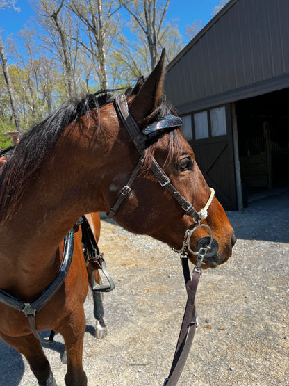 Black Kaleidoscope Browband or Noseband Cover (ONE Cover Only)