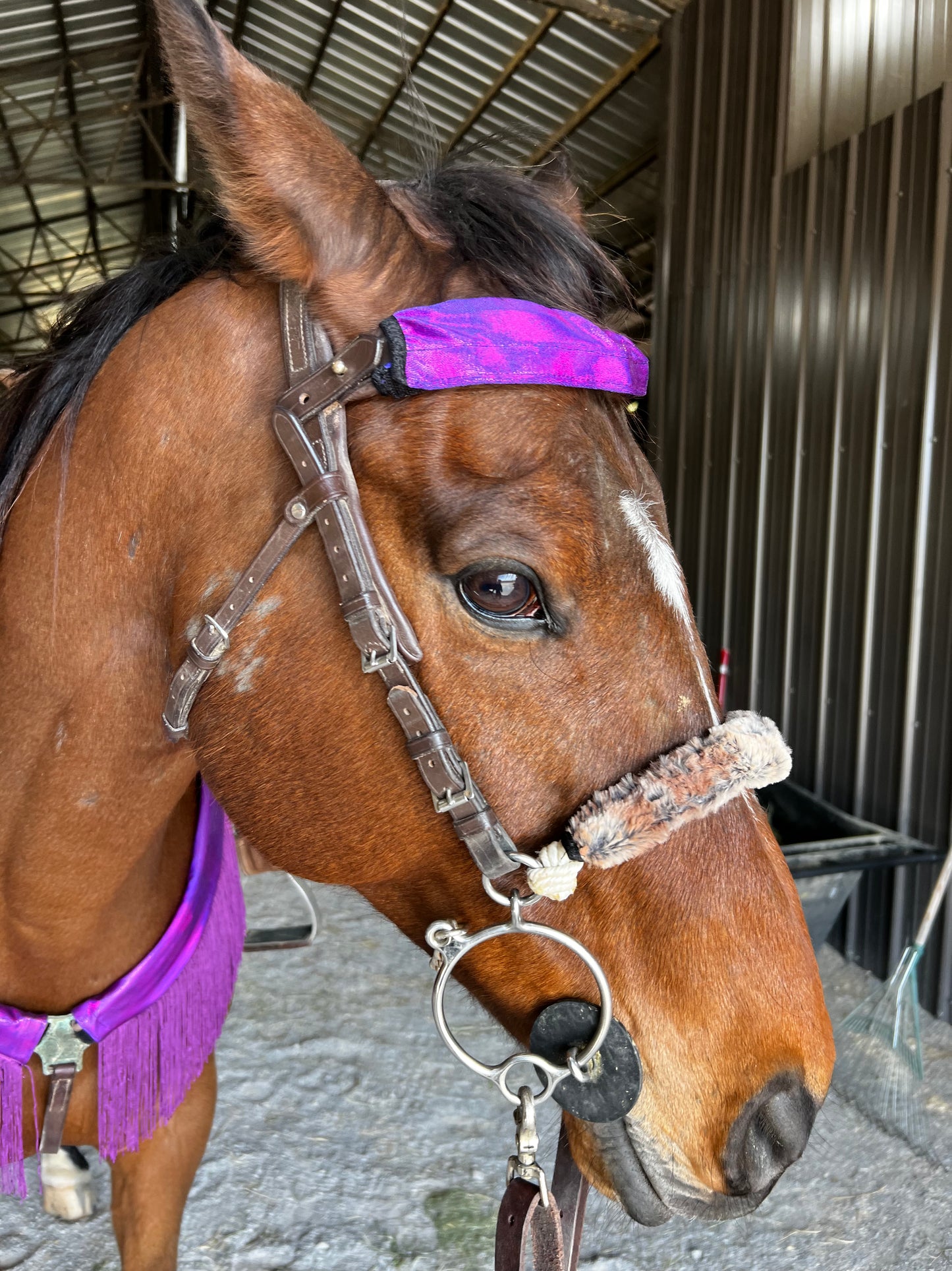 Grape Holographic Browband or Noseband Cover (ONE Cover Only)