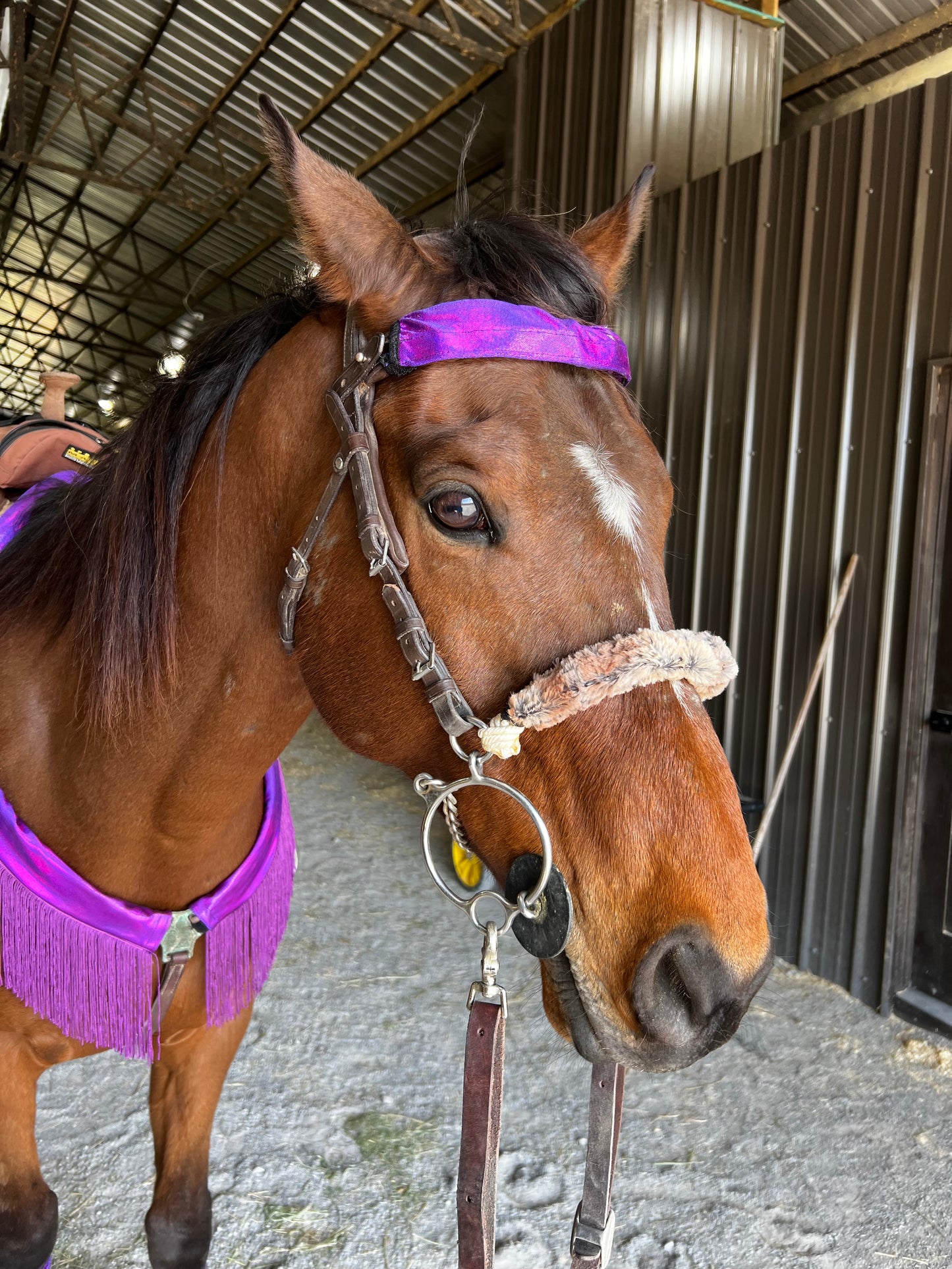 Grape Holographic Browband or Noseband Cover (ONE Cover Only)