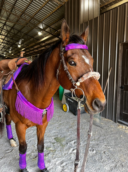 Grape Holographic Browband or Noseband Cover (ONE Cover Only)