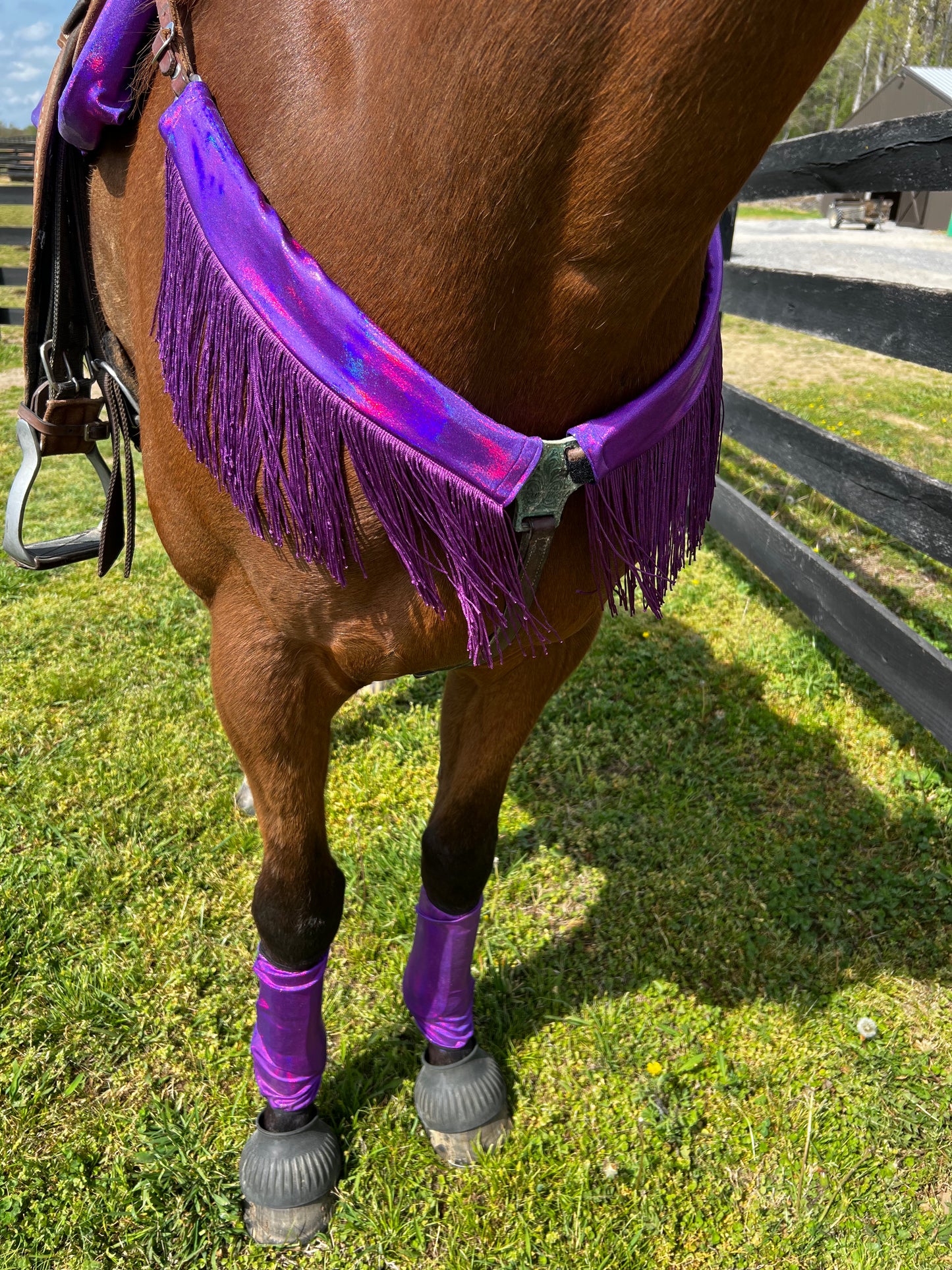 Grape Holographic Breast Collar Cover with Purple Chainette Fringe (Covers ONLY)