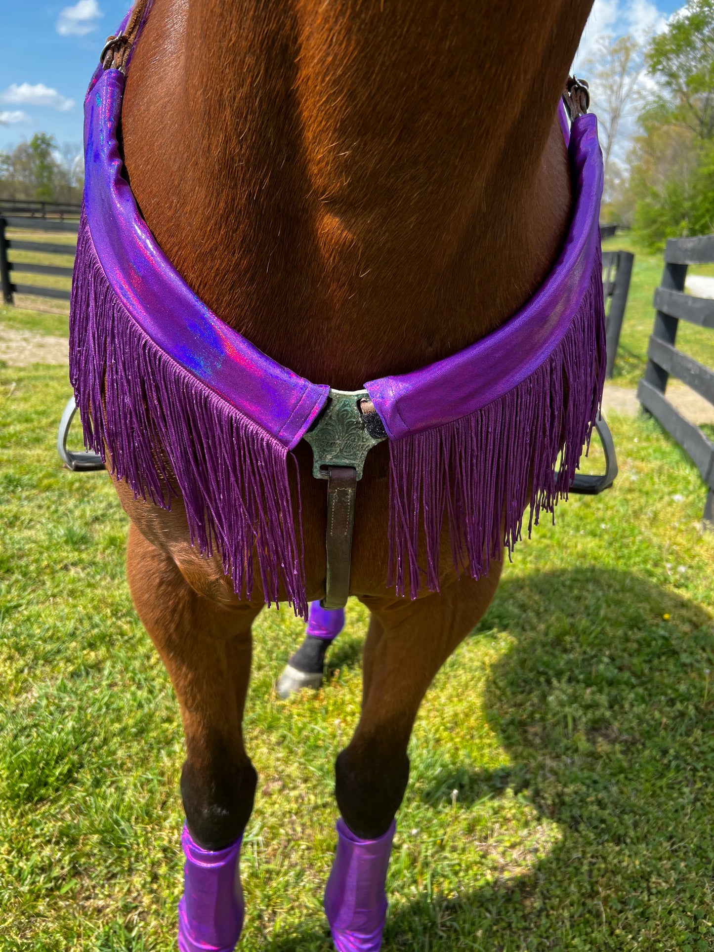 Grape Holographic Breast Collar Cover with Purple Chainette Fringe (Covers ONLY)