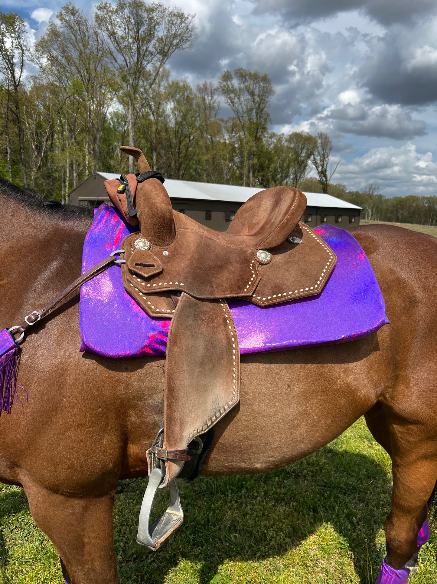 Western Saddle Pad COVER in Grape Holographic (Saddle Pad Cover Only)