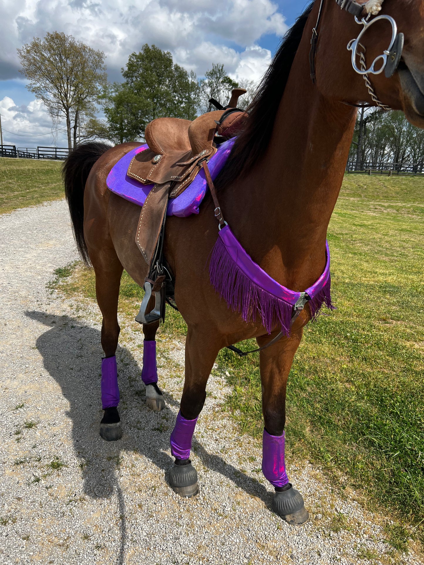 Grape Holographic Velcro Sportboot Covers (Covers Only, sets of TWO)