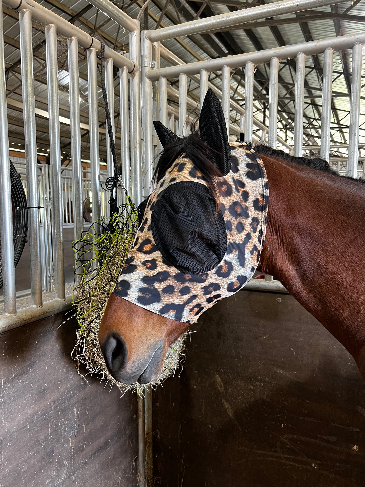 Wildcat Fly Mask