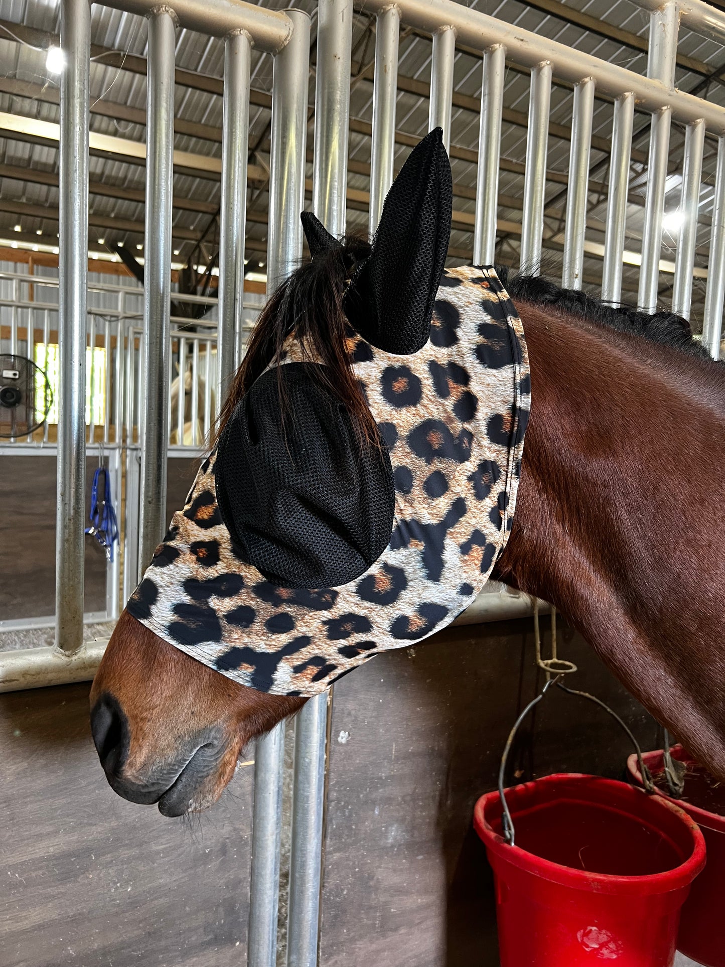 Wildcat Fly Mask