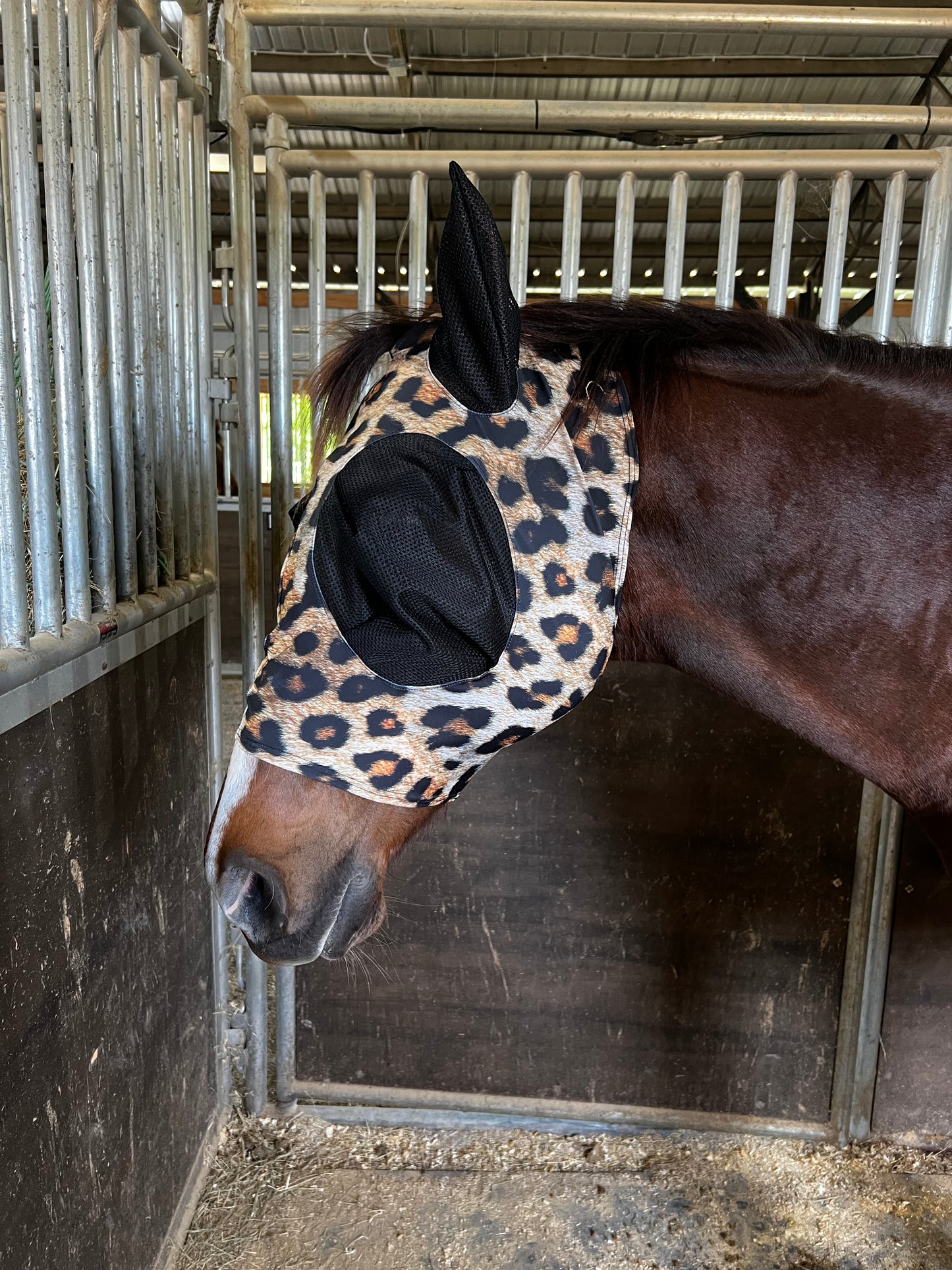 Wildcat Fly Mask