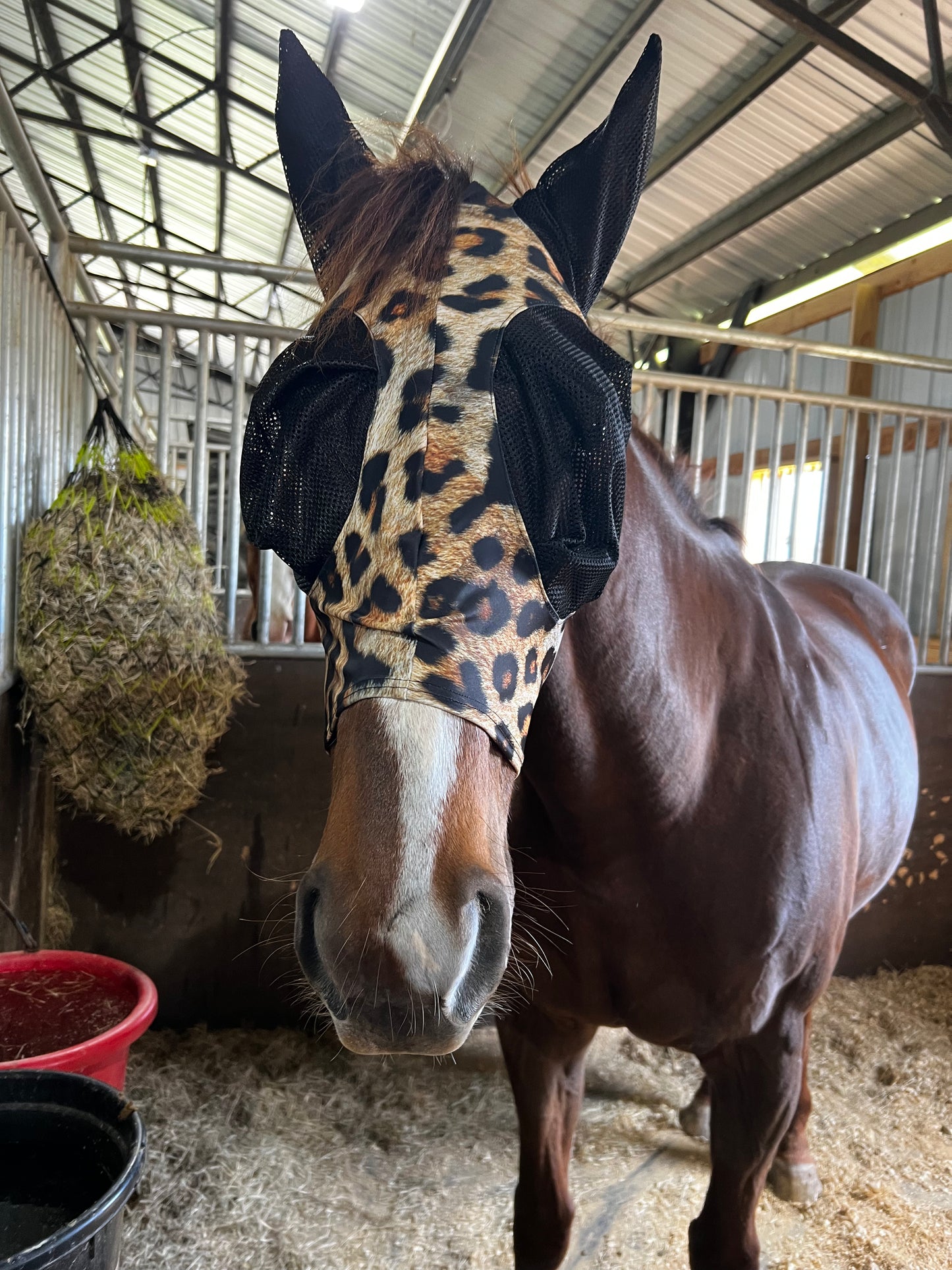 Wildcat Fly Mask