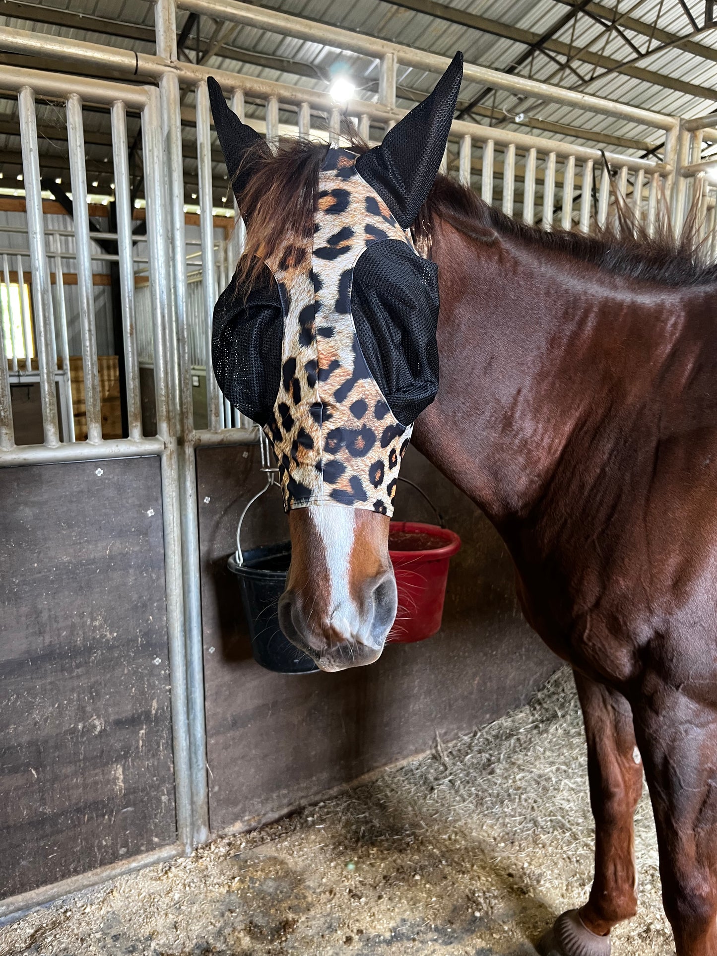 Wildcat Fly Mask