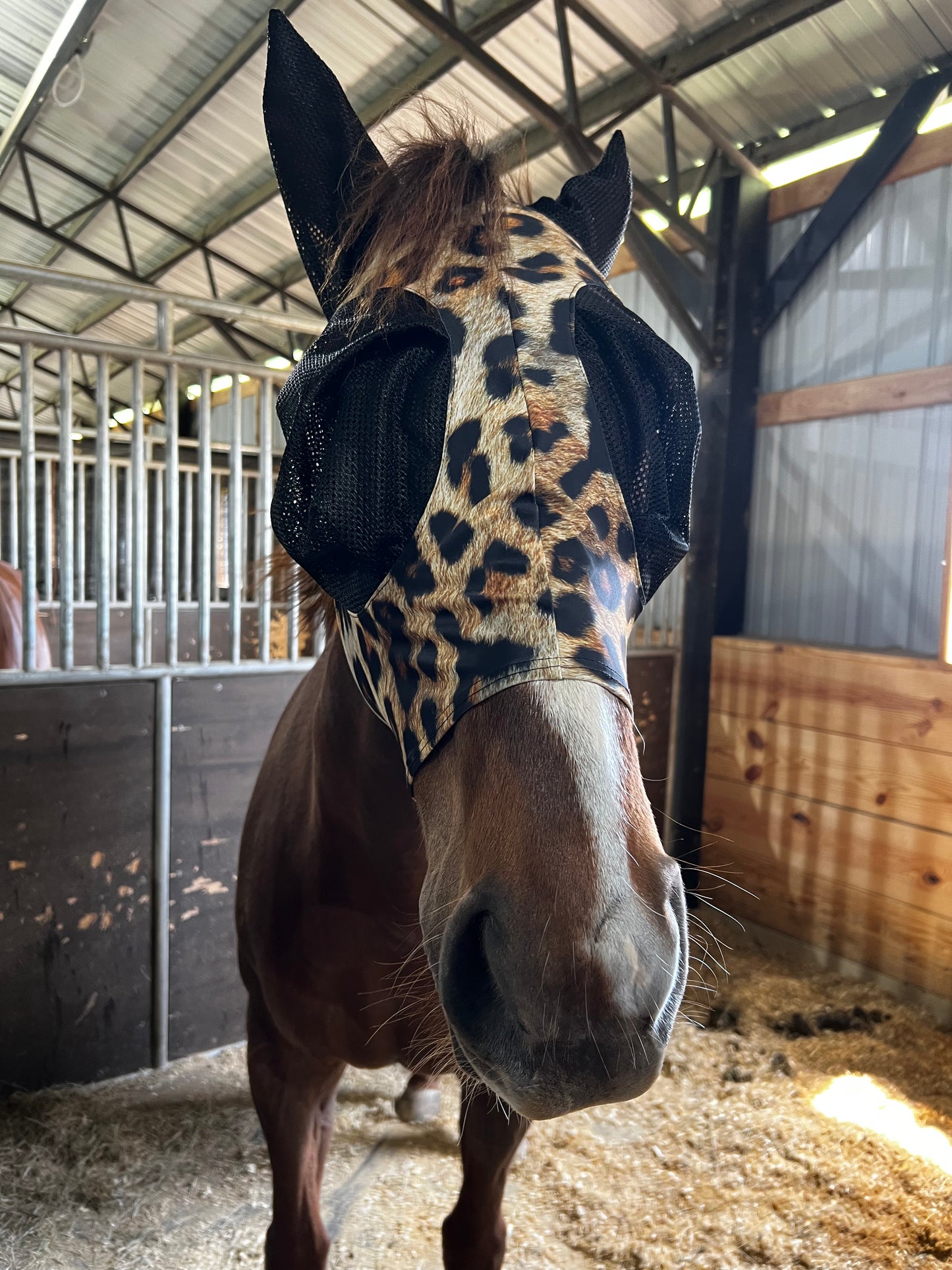 Wildcat Fly Mask