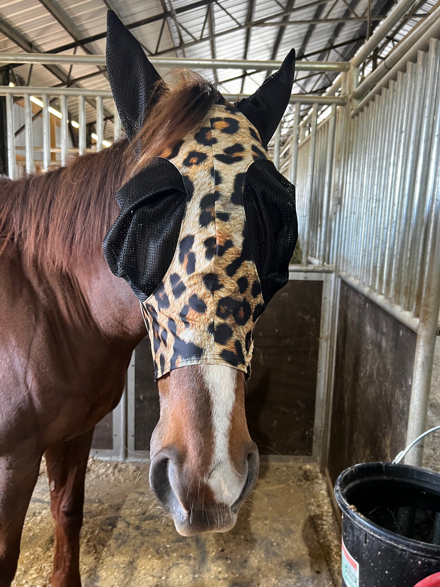 Wildcat Fly Mask