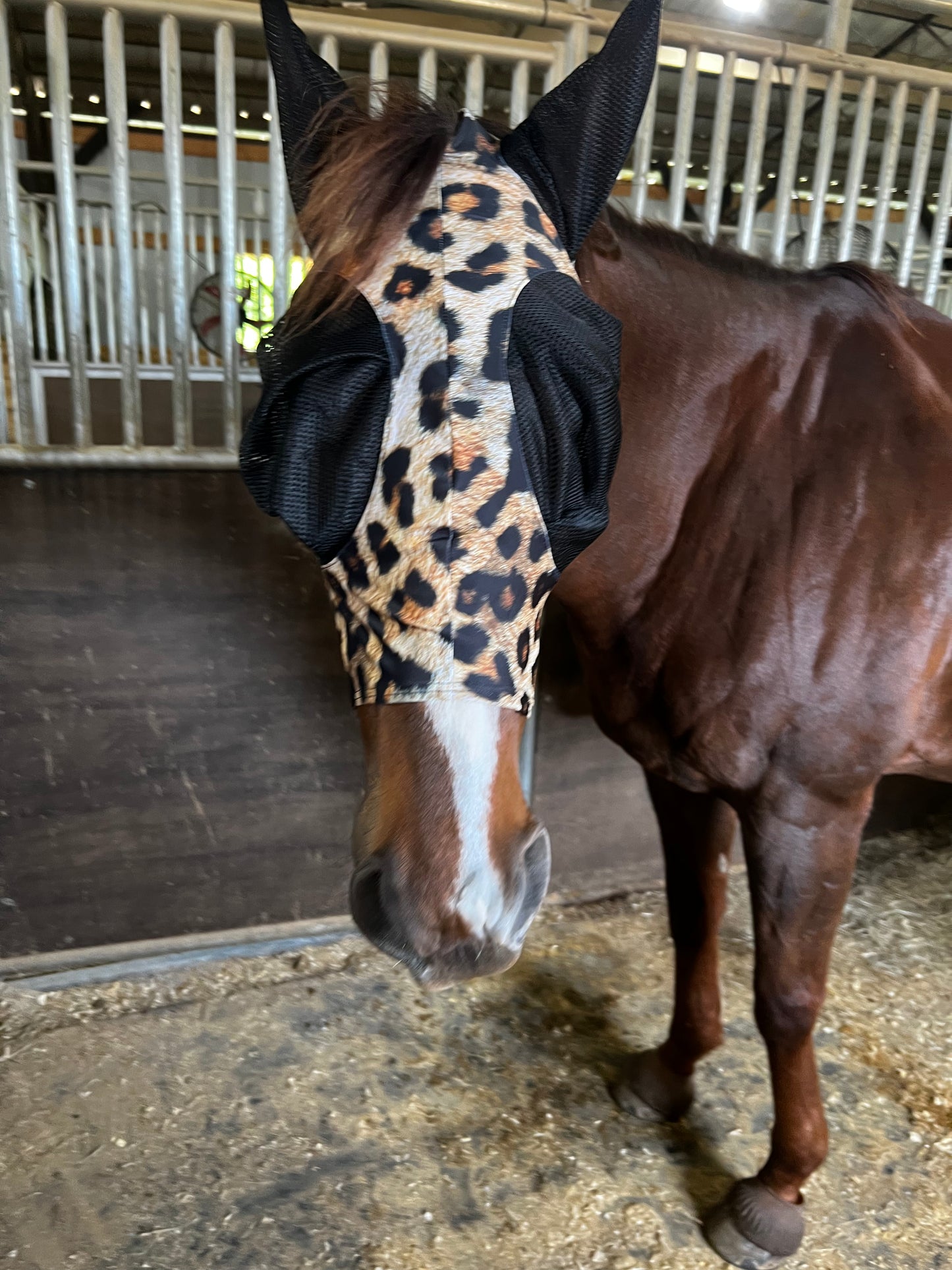 Wildcat Fly Mask