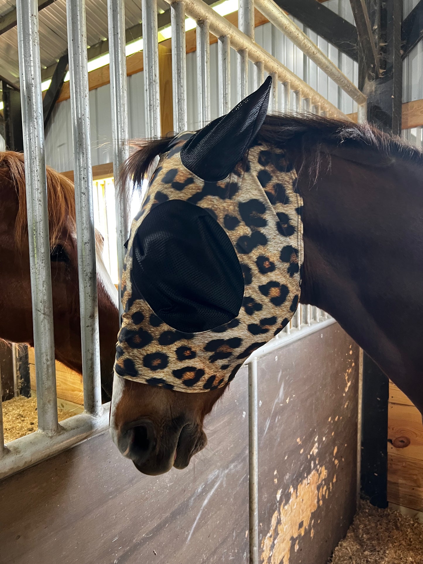 Wildcat Fly Mask