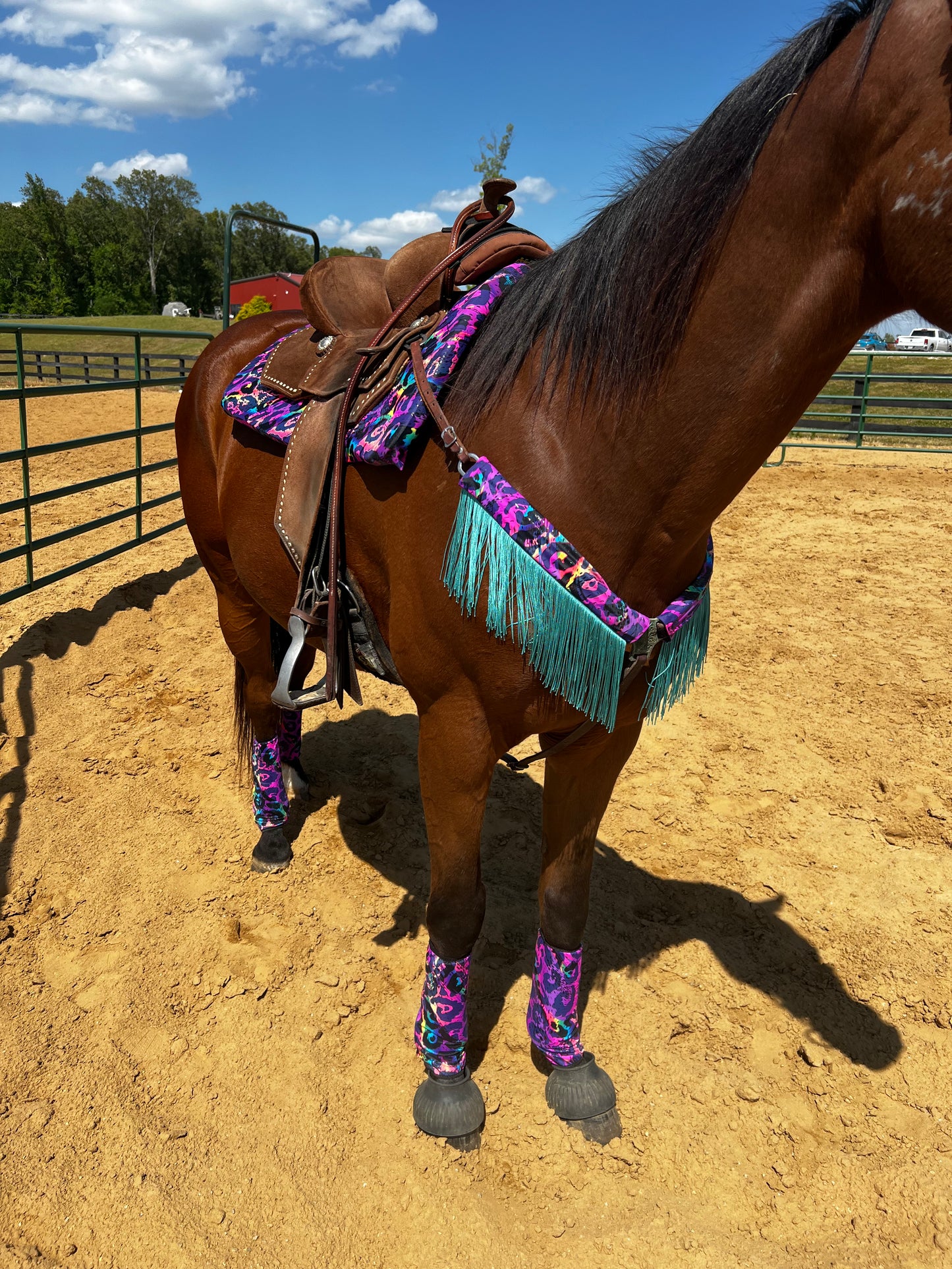 Rainbow Leopard Breast Collar Cover with Dusty Jade Chainette Fringe (Covers ONLY)