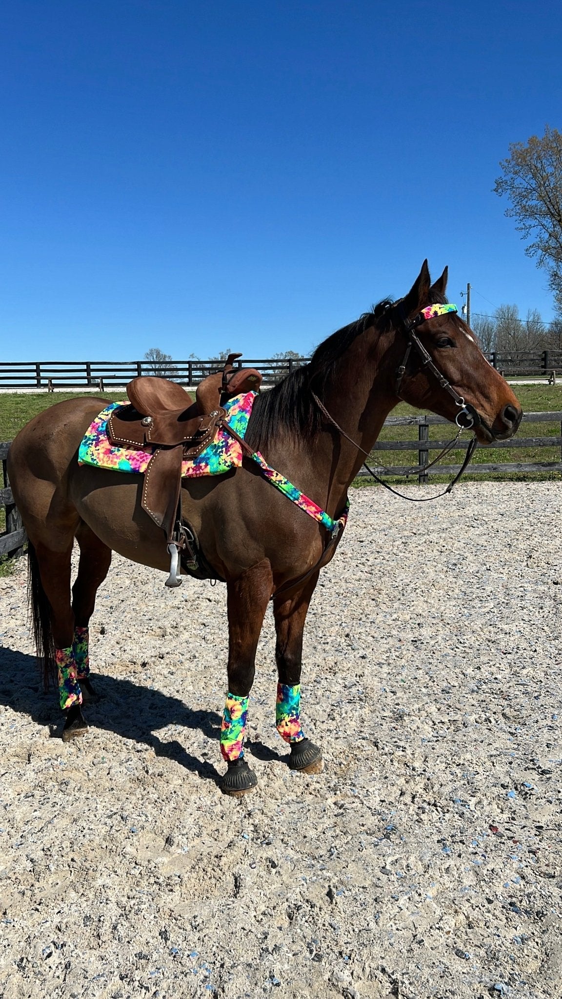 Acid Splash Tie Dye Breast Collar Cover (Covers ONLY) - Riverside Rodeo Shirts