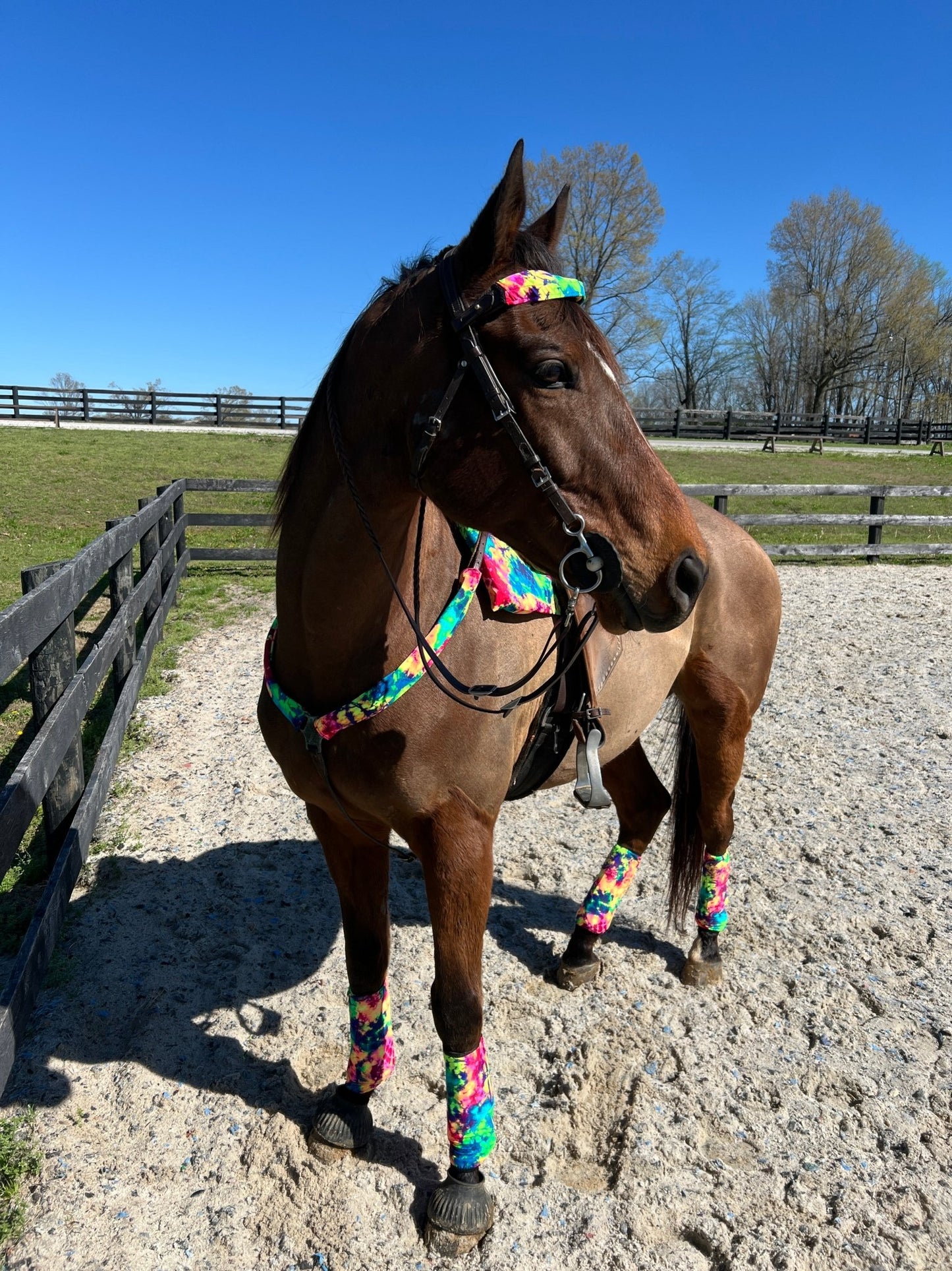 Acid Splash Tie Dye Breast Collar Cover (Covers ONLY) - Riverside Rodeo Shirts
