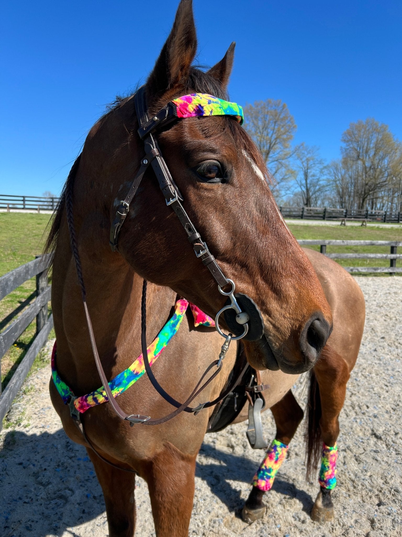 Acid Splash Tie Dye Breast Collar Cover (Covers ONLY) - Riverside Rodeo Shirts