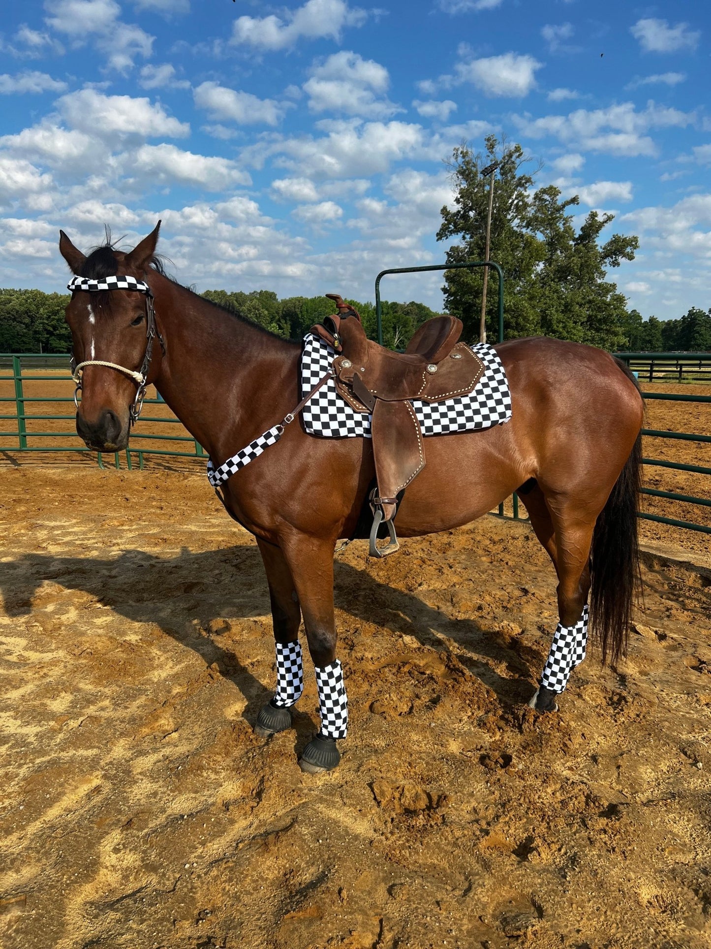 Black and White Checkered Breast Collar Cover (Covers ONLY) - Riverside Rodeo Shirts