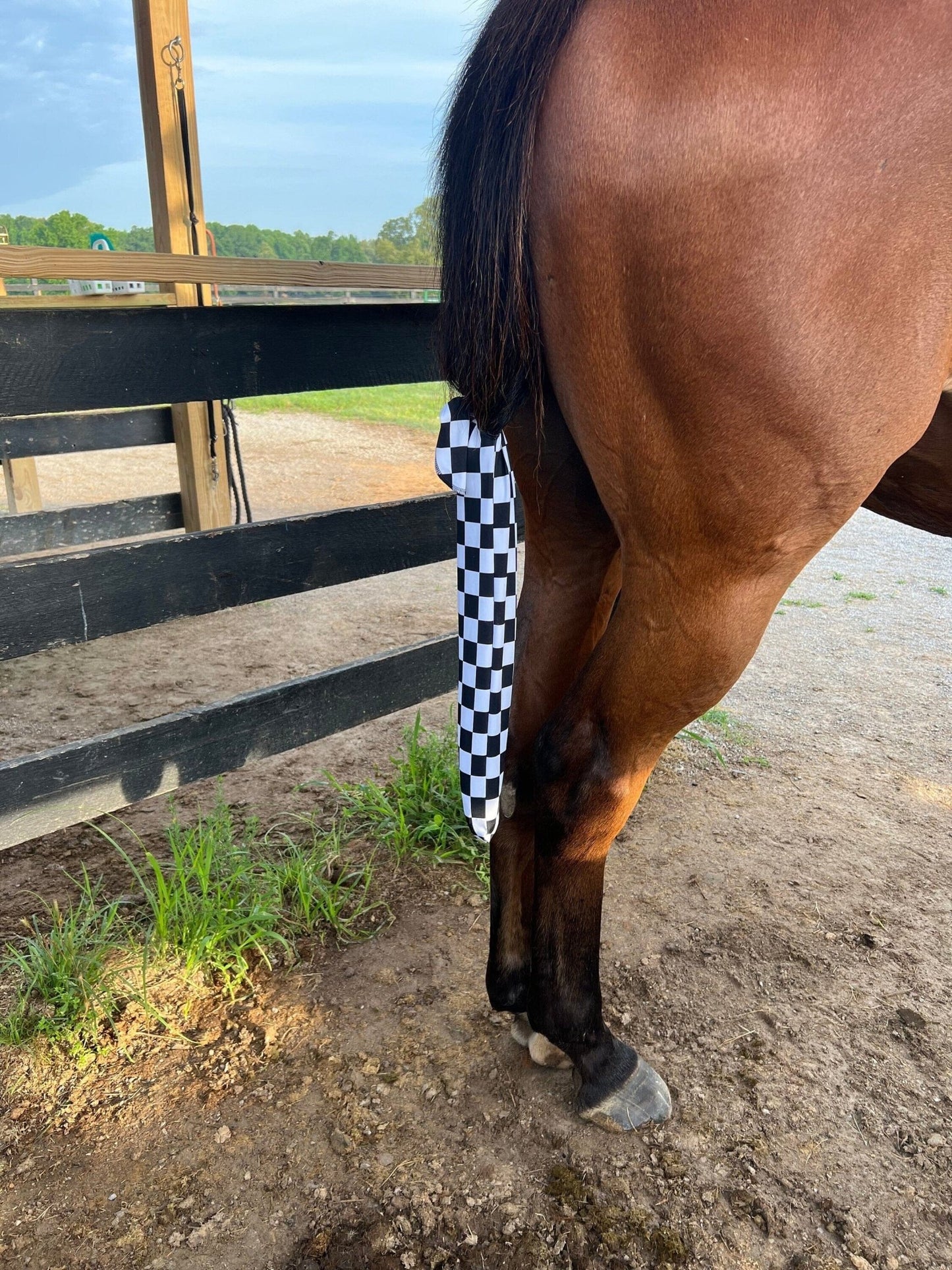 Checkered Tail Bag - Riverside Rodeo Shirts