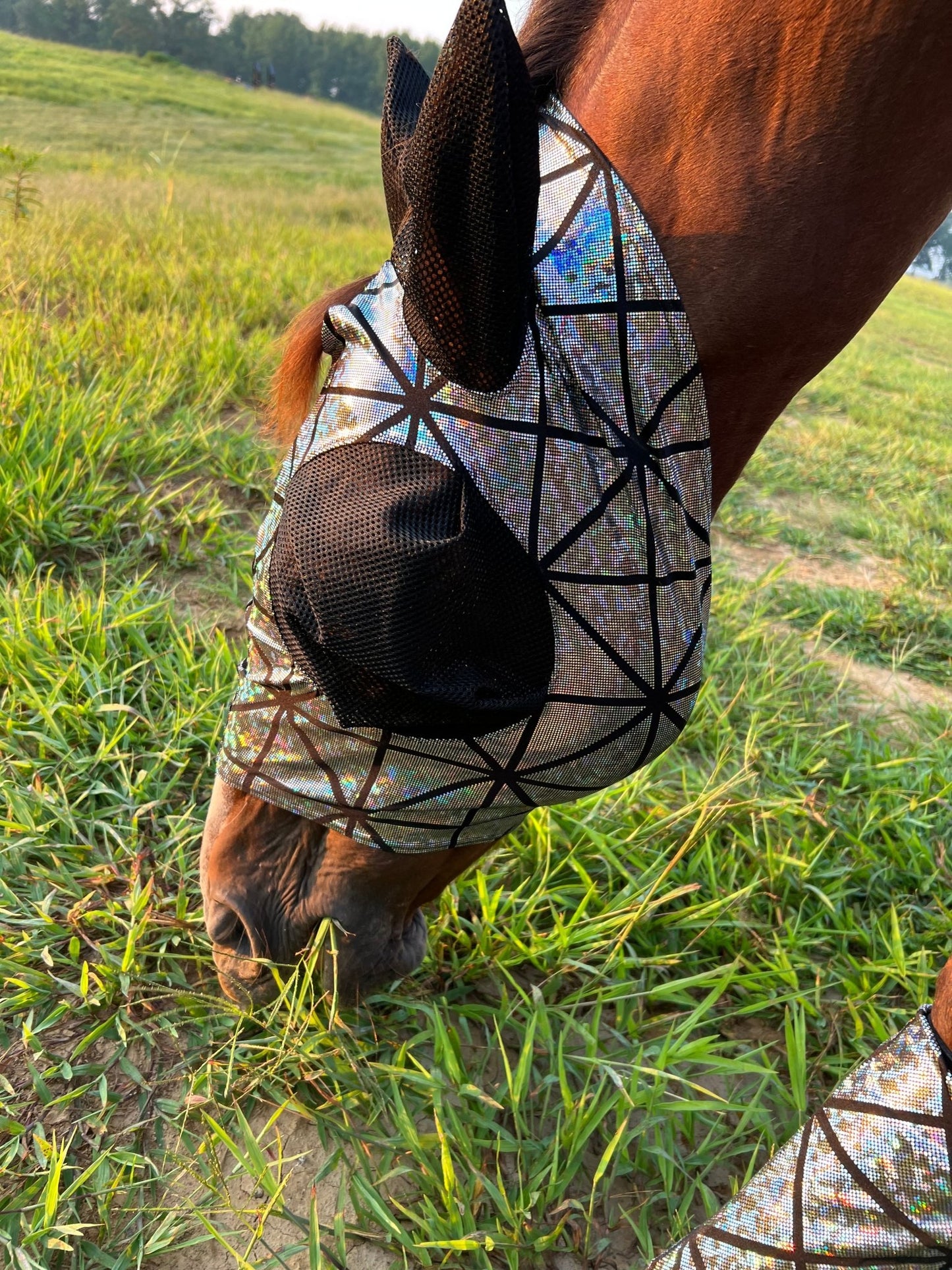 Disco Ball Fly Mask with Mesh Eyes and Ears - Riverside Rodeo Shirts