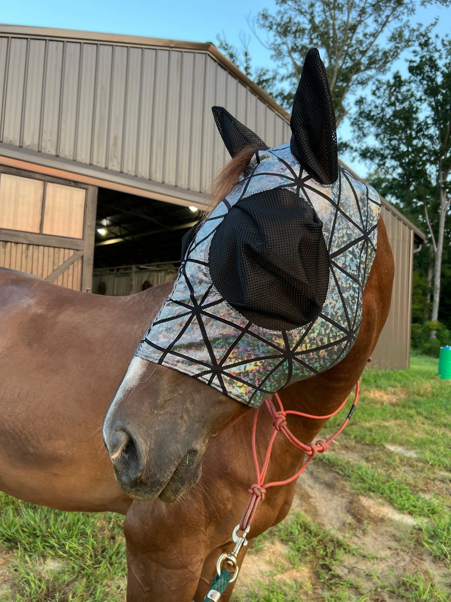 Disco Ball Fly Mask with Mesh Eyes and Ears - Riverside Rodeo Shirts
