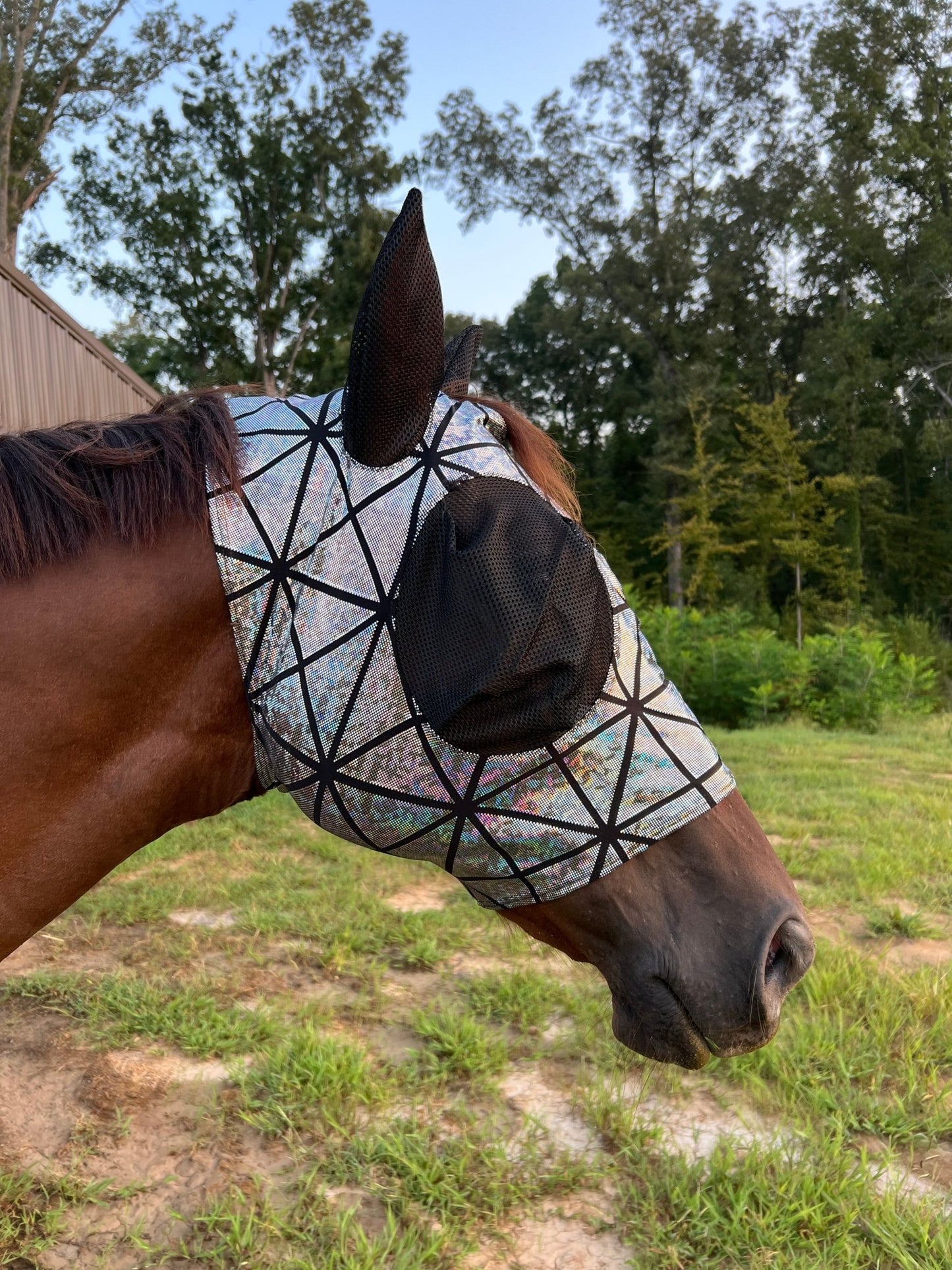 Disco Ball Fly Mask with Mesh Eyes and Ears - Riverside Rodeo Shirts