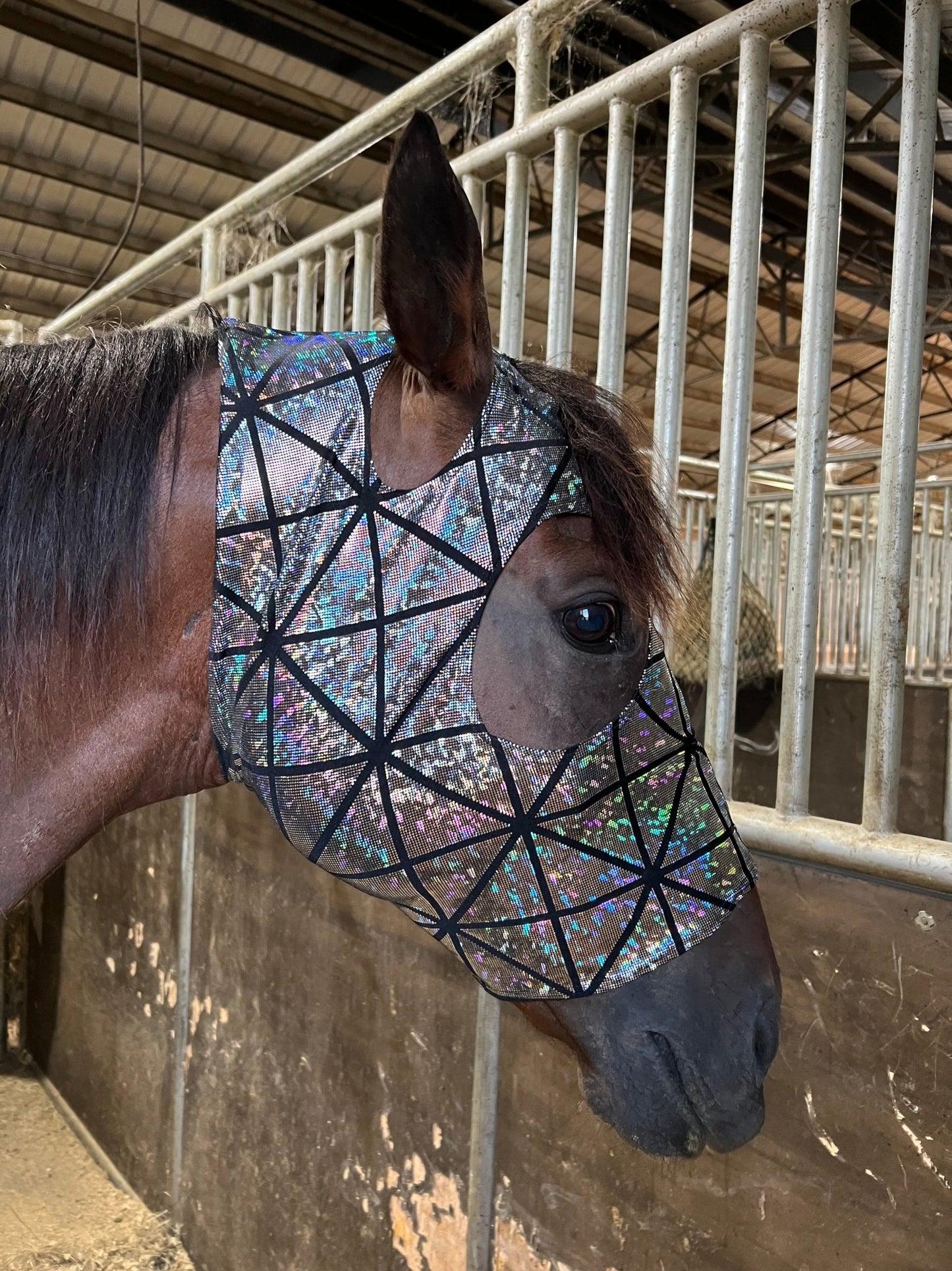 Disco Ball Spandex Face Mask for Horses - Riverside Rodeo Shirts