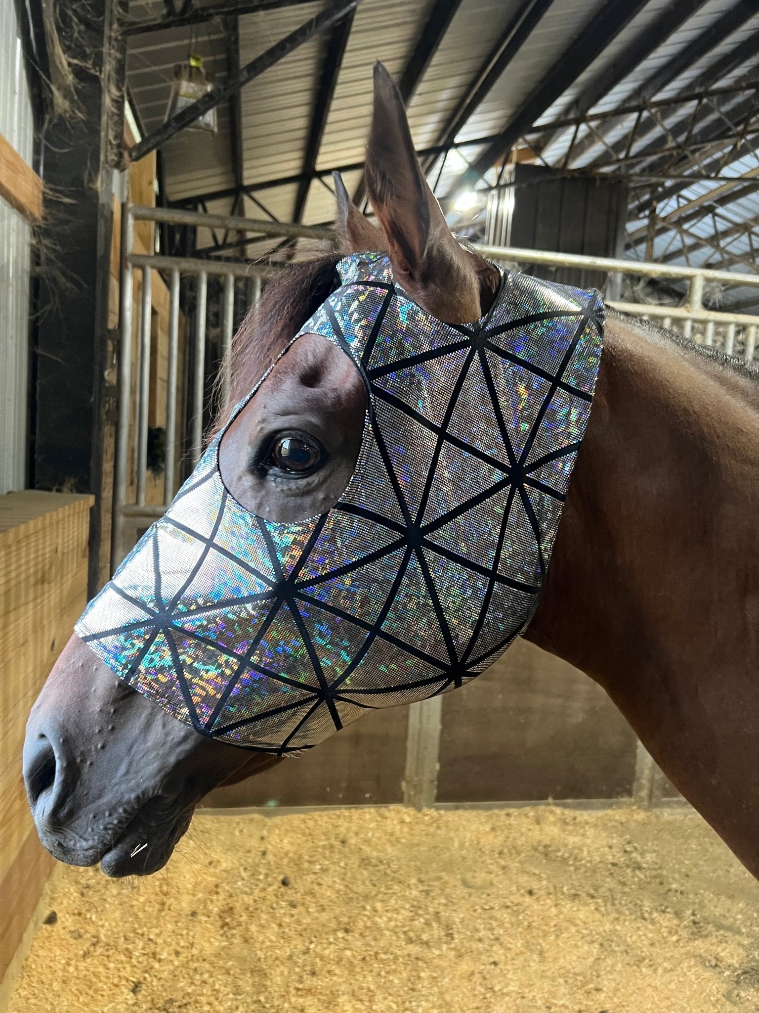 Disco Ball Spandex Face Mask for Horses - Riverside Rodeo Shirts